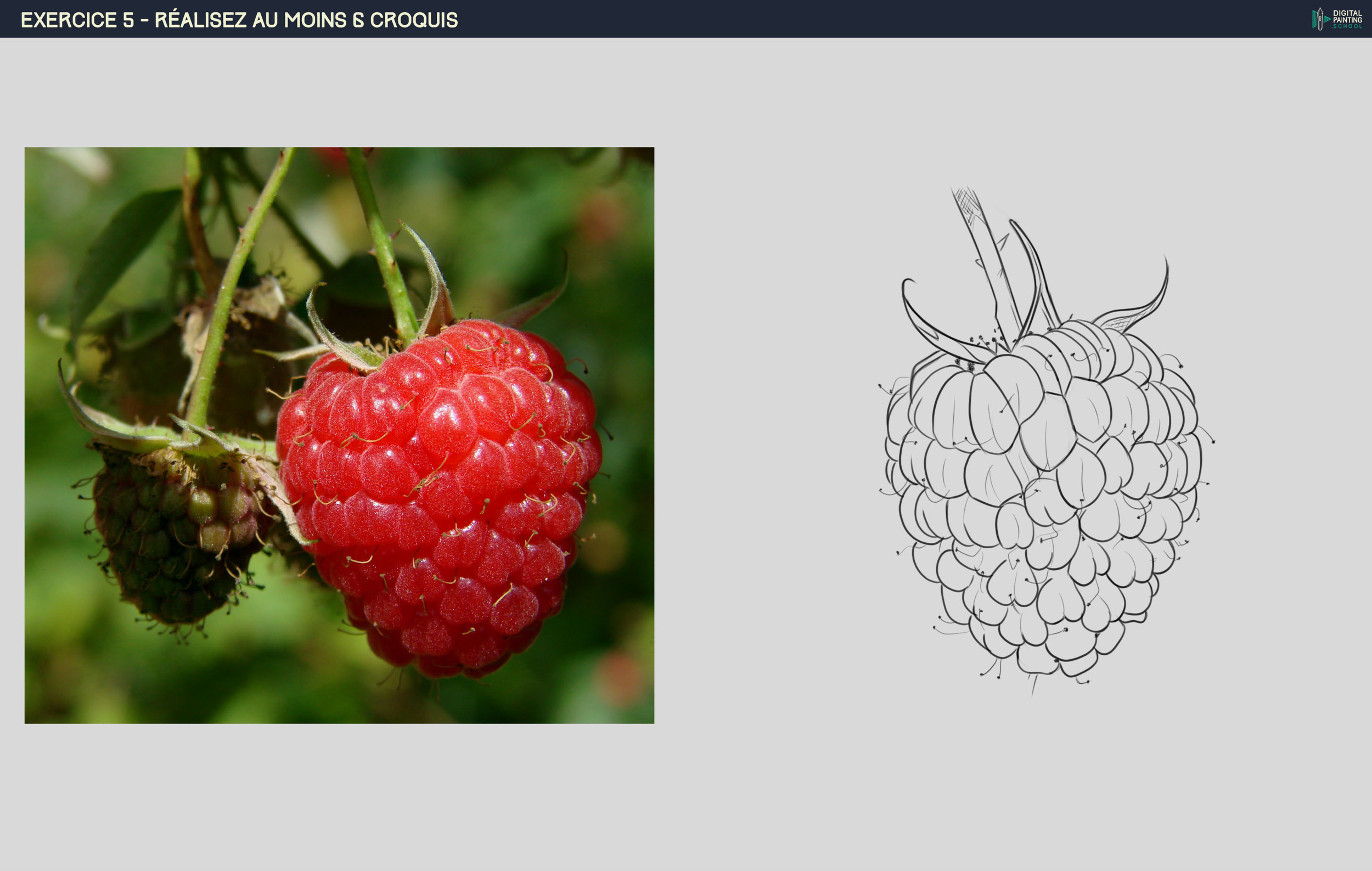 3_CROQUIS_3_ FRAMBOISE.jpg