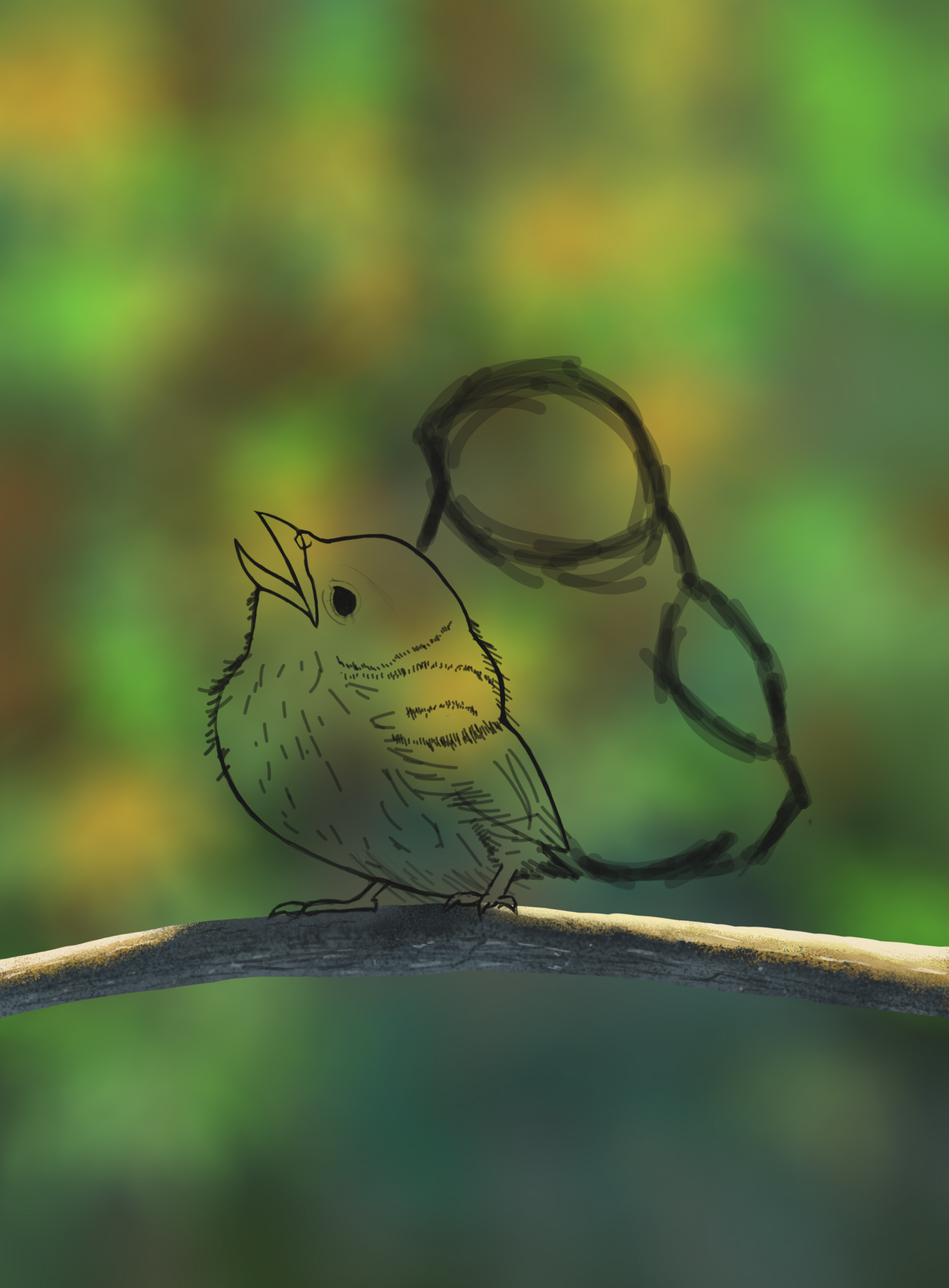 Branche + oision.png