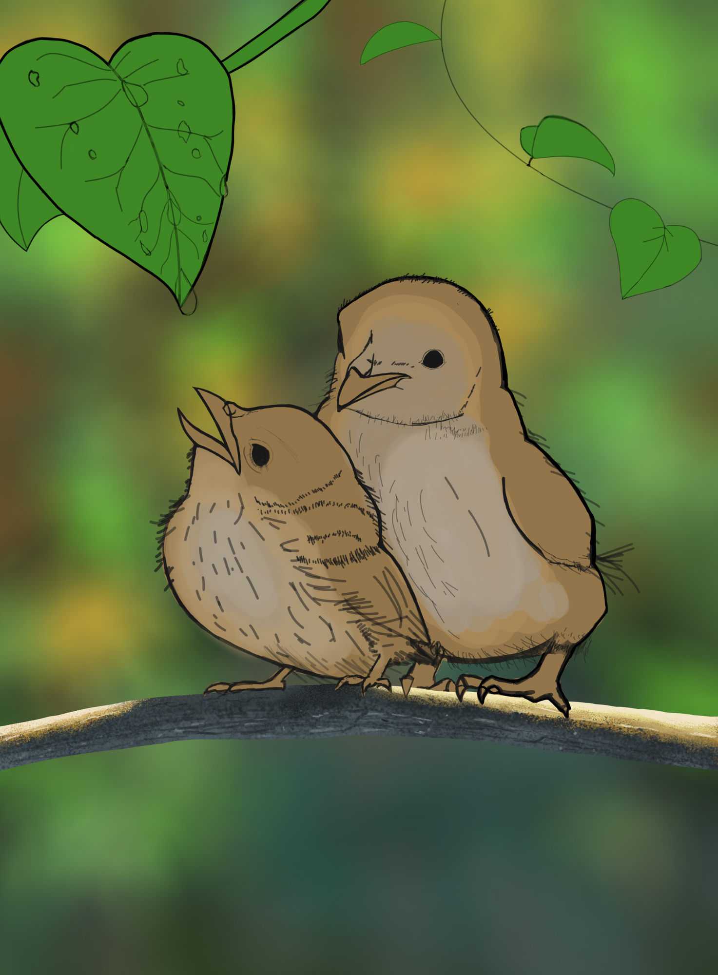 Branche + oision 4.jpg