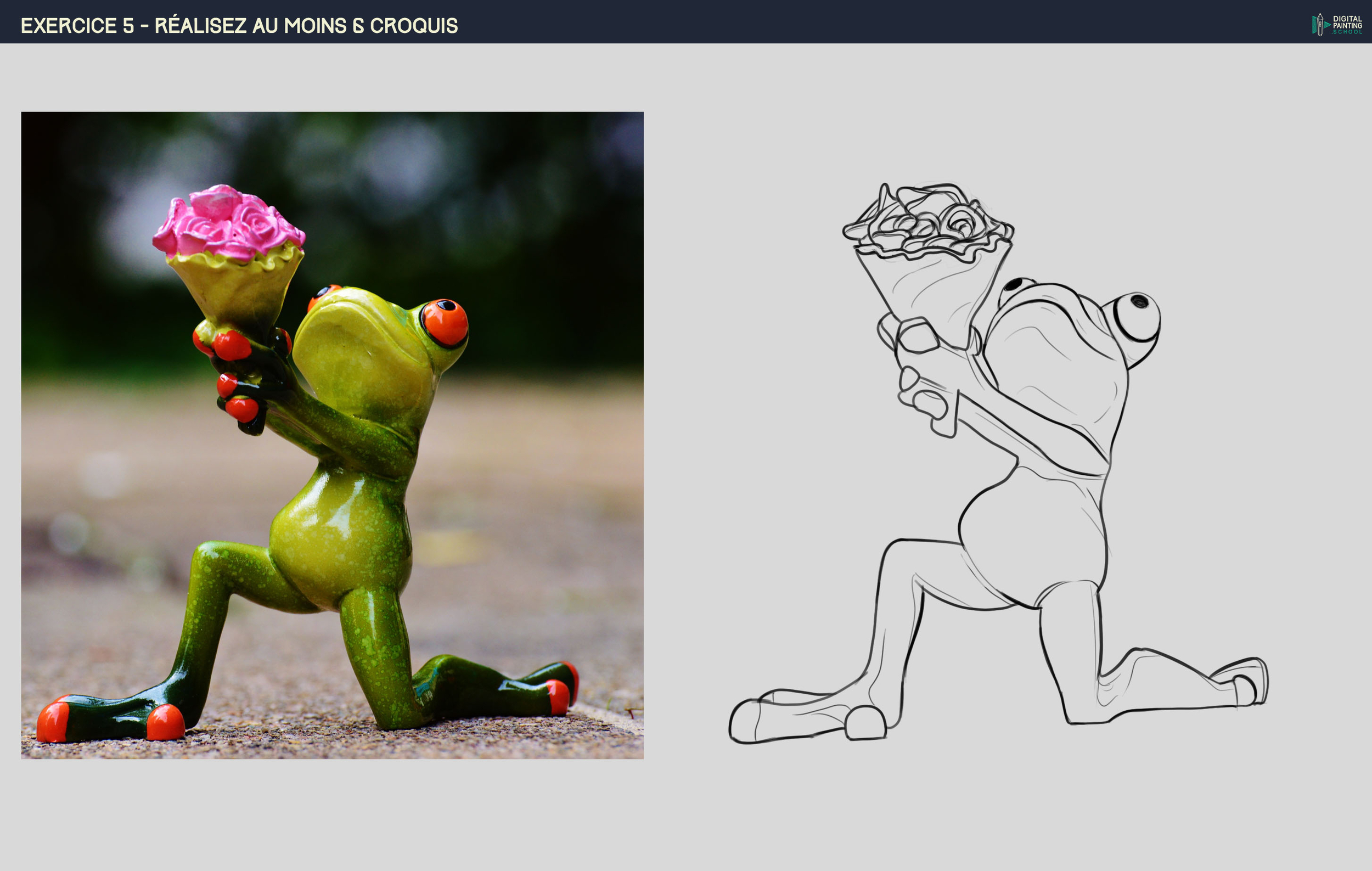 CROQUIS_2_ GRENOUILLE.jpg