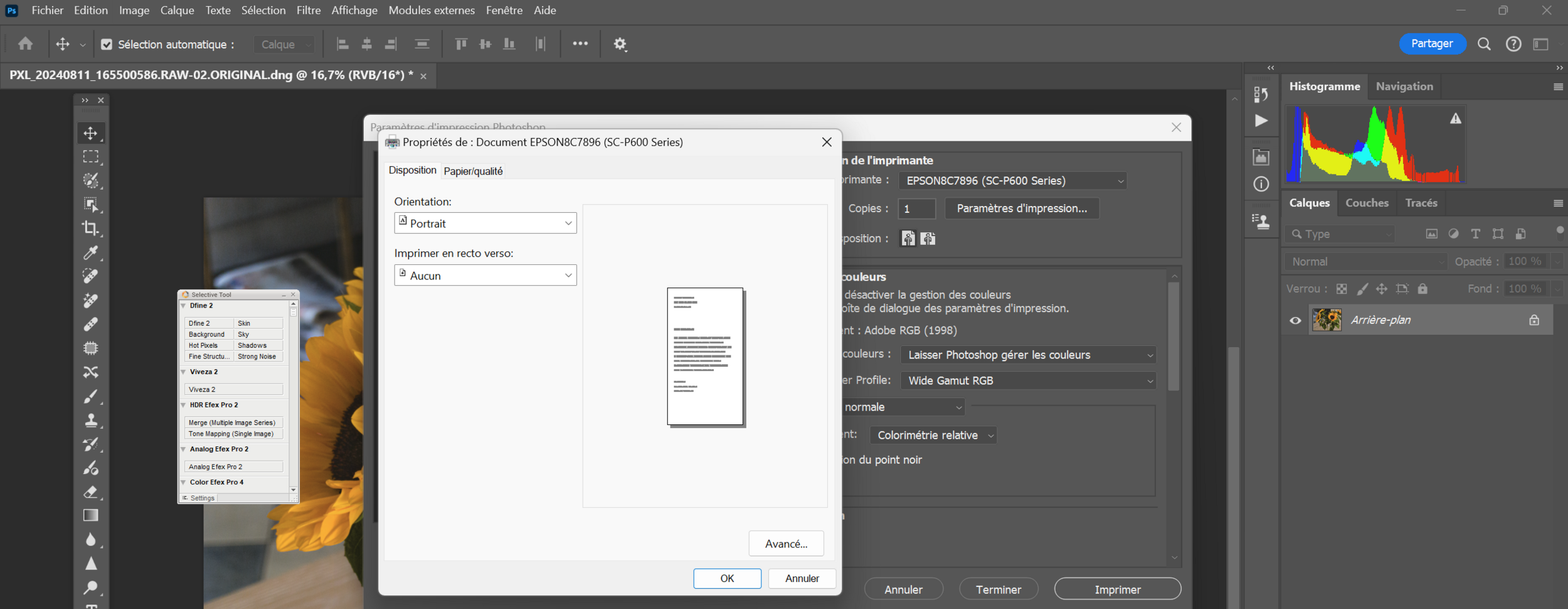 Capture d’écran 2024-08-31 17.40.16.png