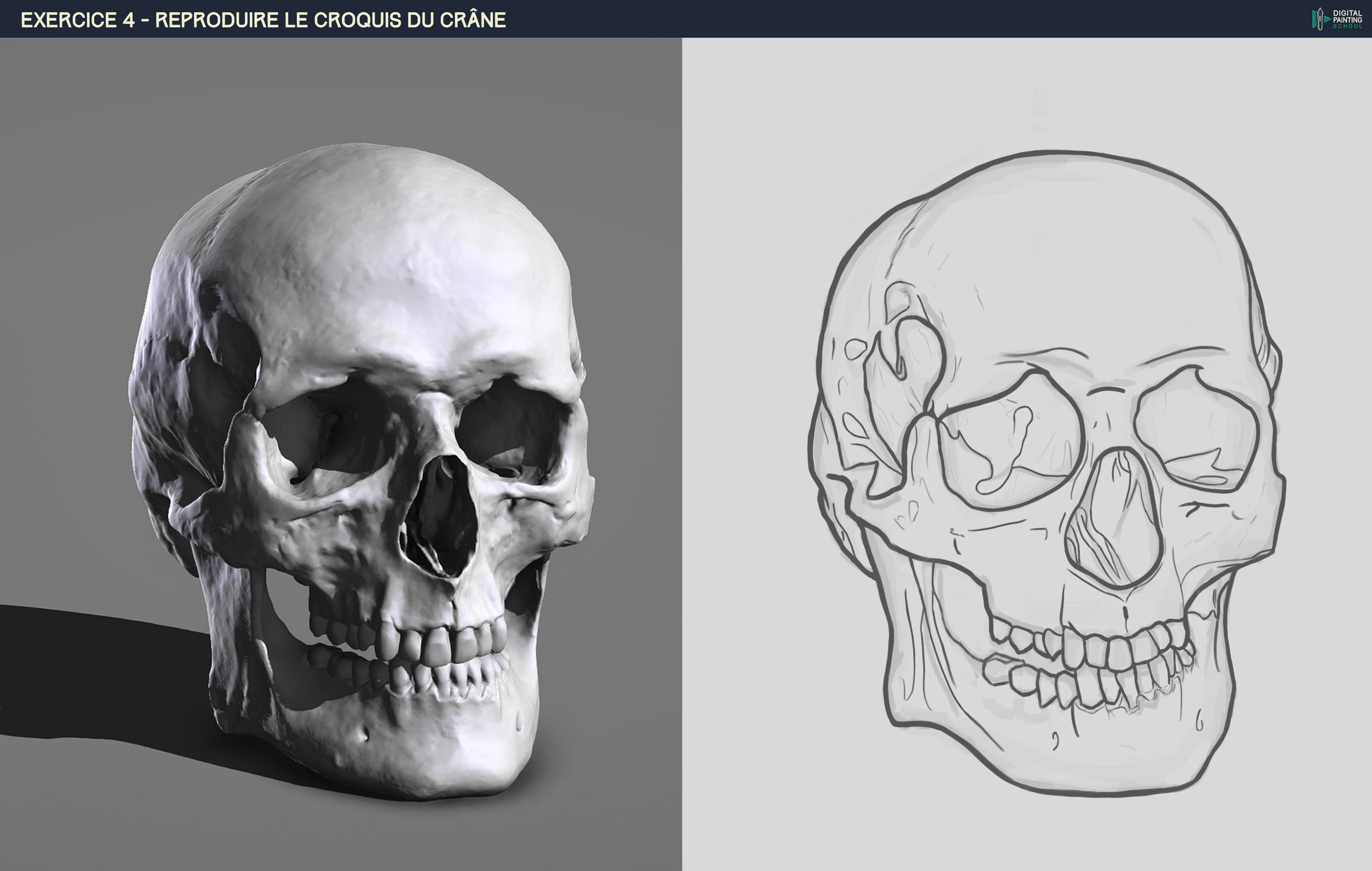 DPS-Prog-1-2-2-démo-crane-croquis-etape-4_small done.jpg
