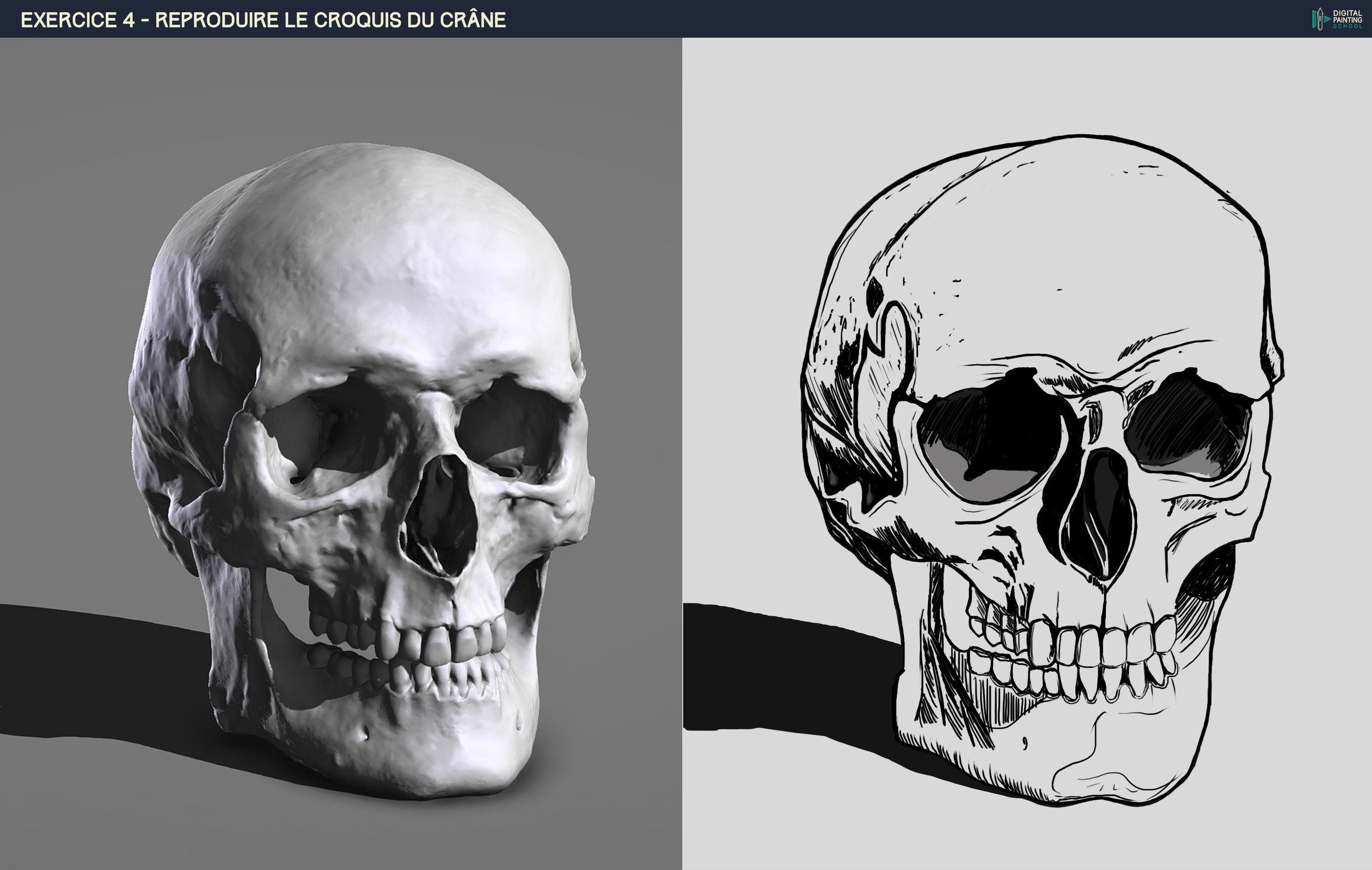 DPS-Prog-1-2-2-démo-crane-croquis DAXLOU.jpg