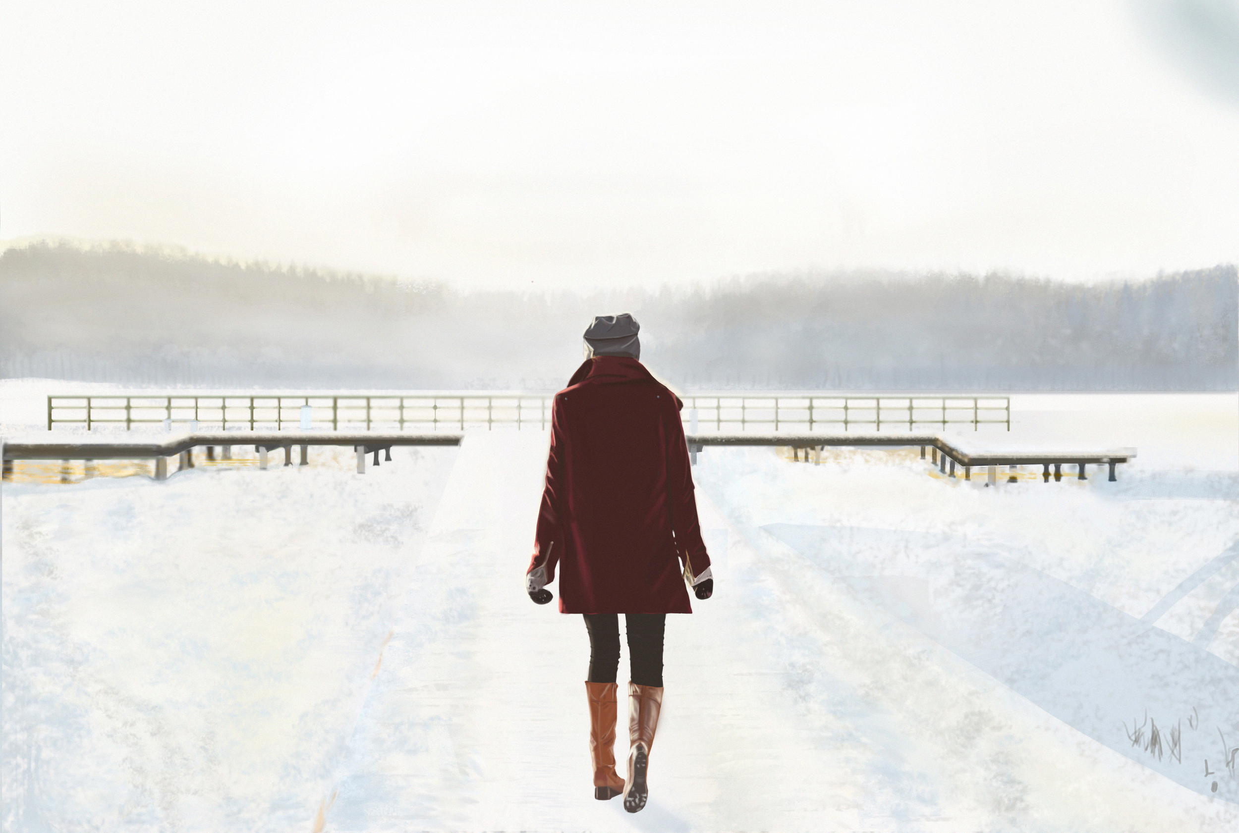 DPS C1 (ex2,5) copie.jpg