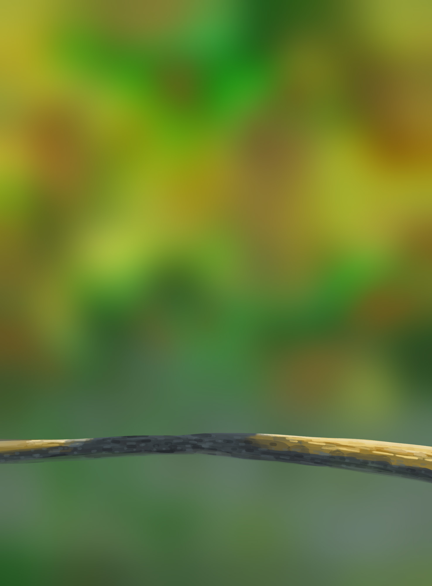 DPS Prog-1-1-Exercice5-Oiseau-Commencement.jpg