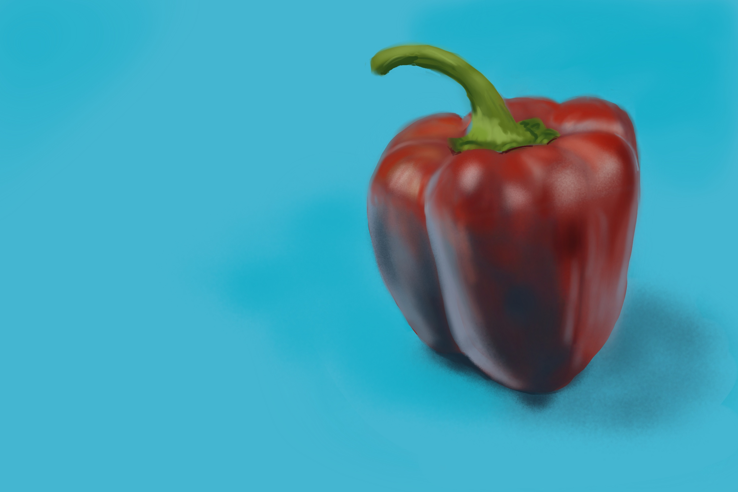 Exercice4-etude-photo1 1.jpg