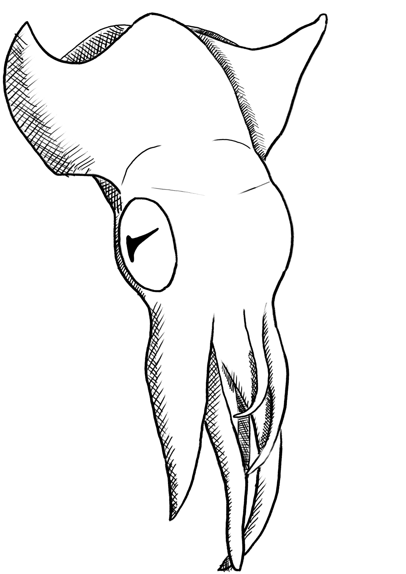 Illustration_sans_titre 1.jpg