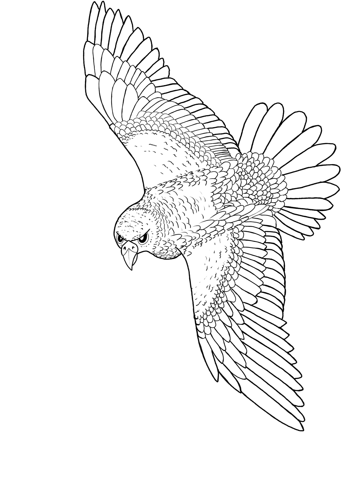 Illustration_sans_titre 3.jpg