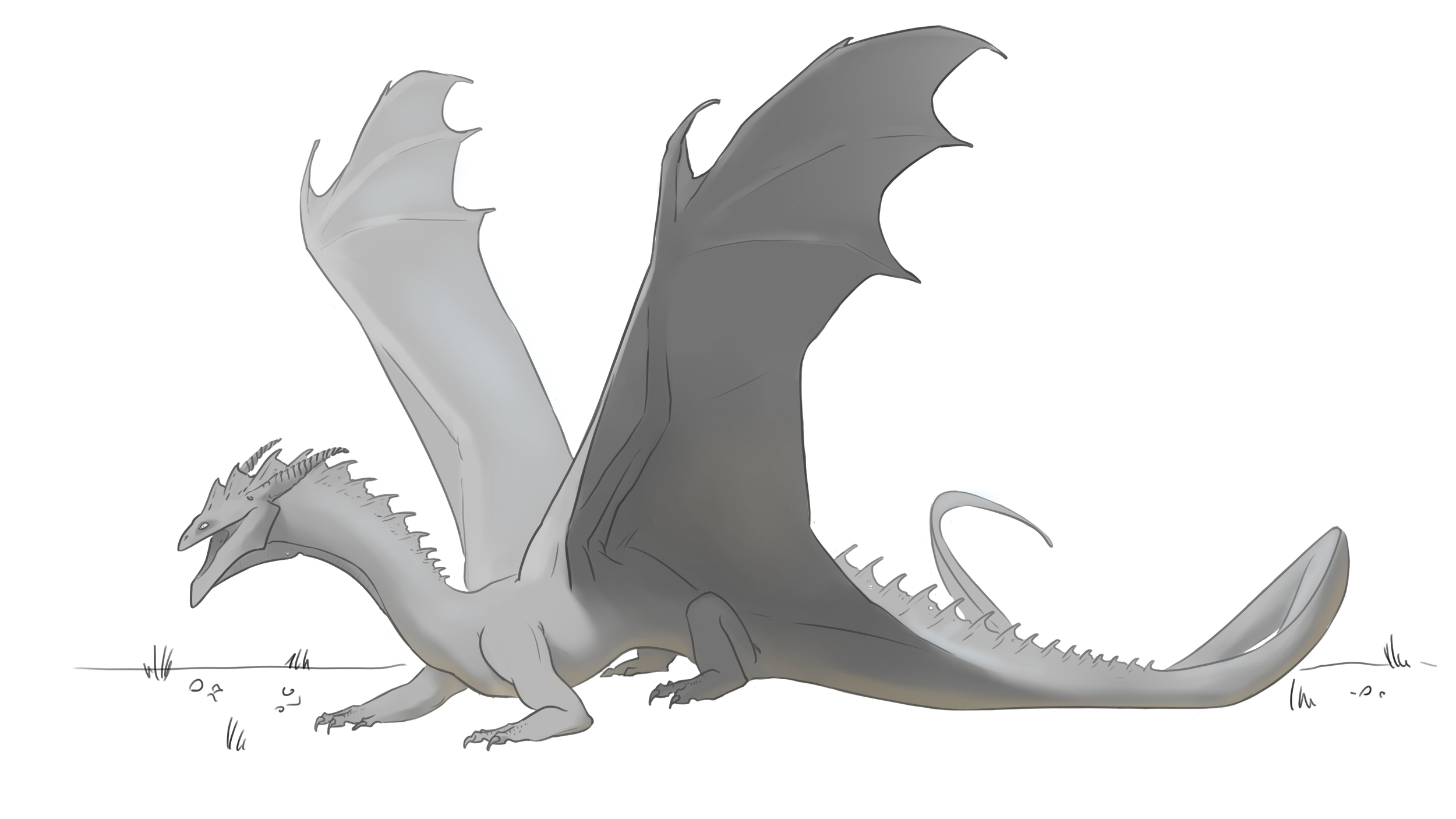 dragon gris repere dps.jpg