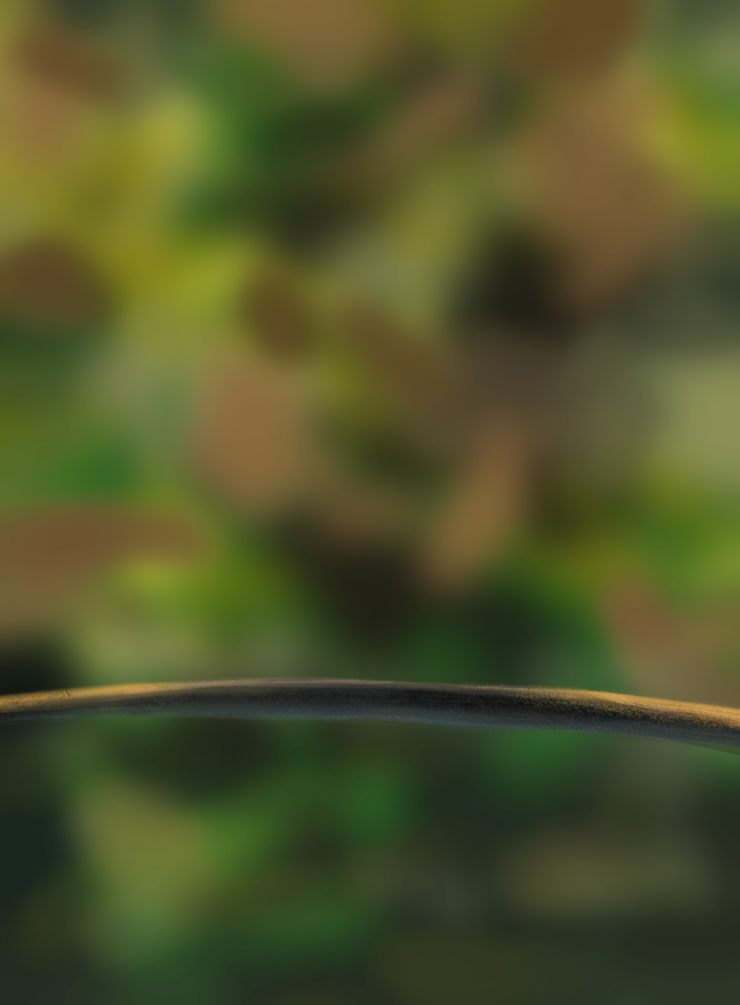 exercice 5-c1 bis.jpg