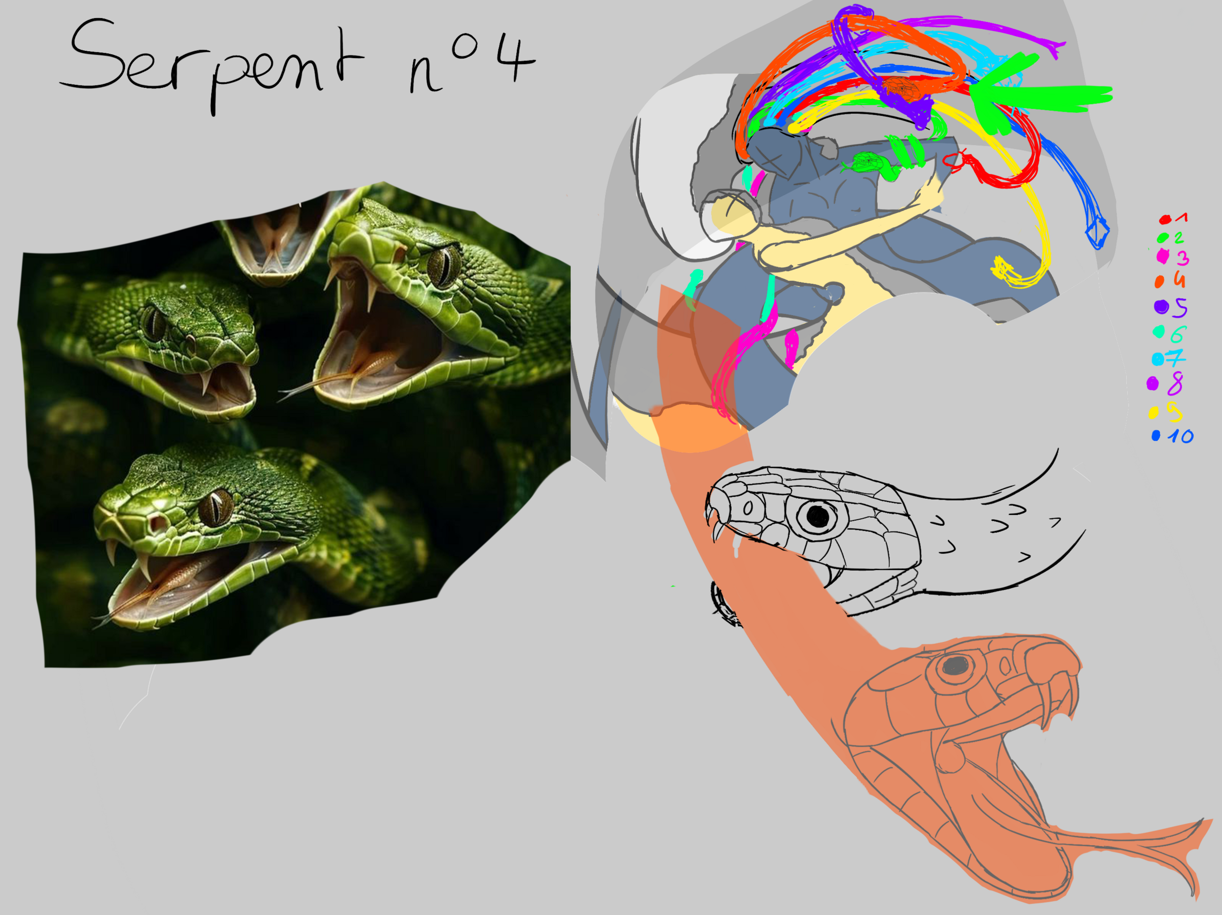 serpent4.thumb.png.e211b6bc4db49212cb6ef388efb6e100.png
