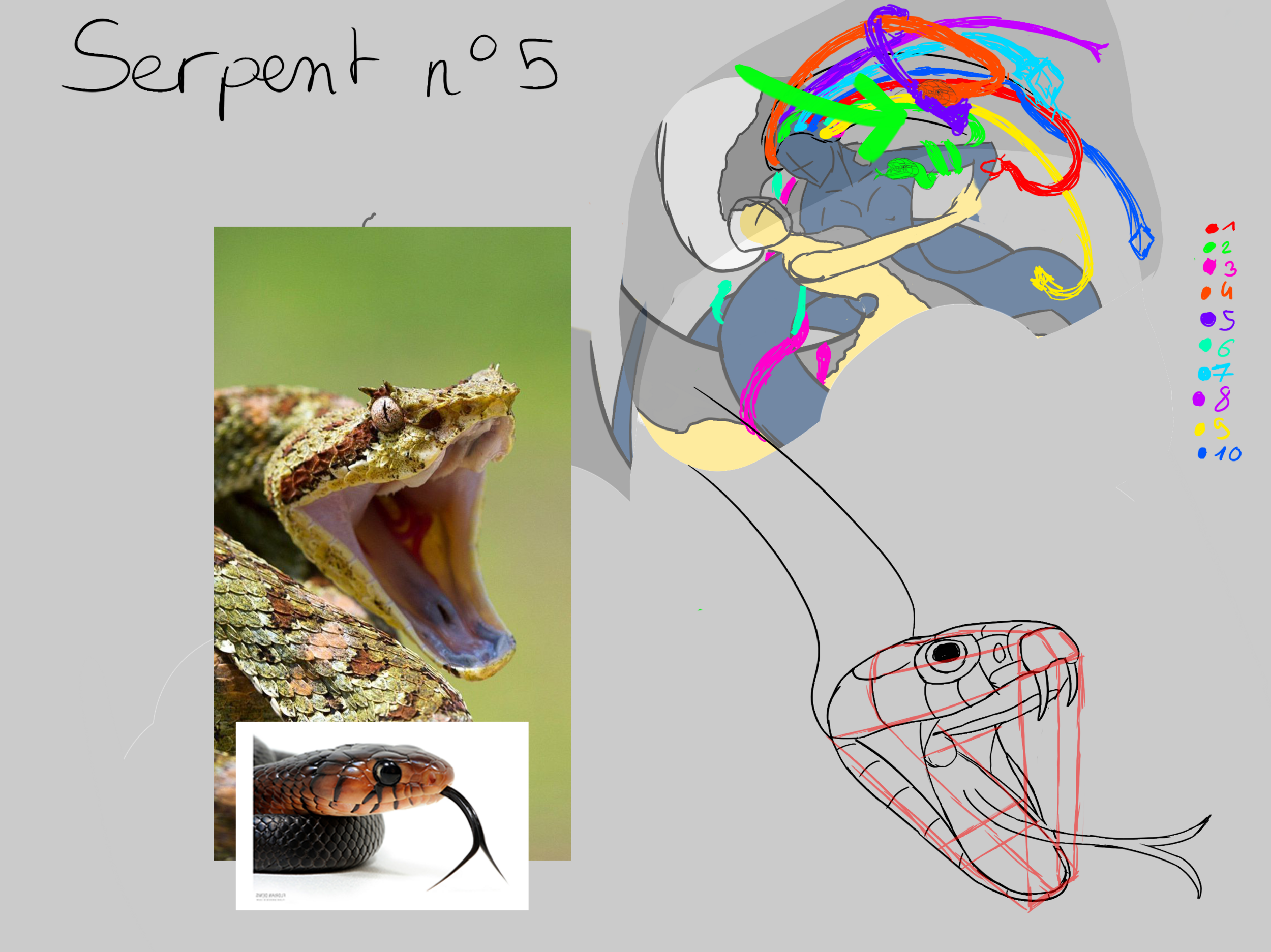 serpent5.thumb.png.33908605876cffebc1155dd2b1662dca.png