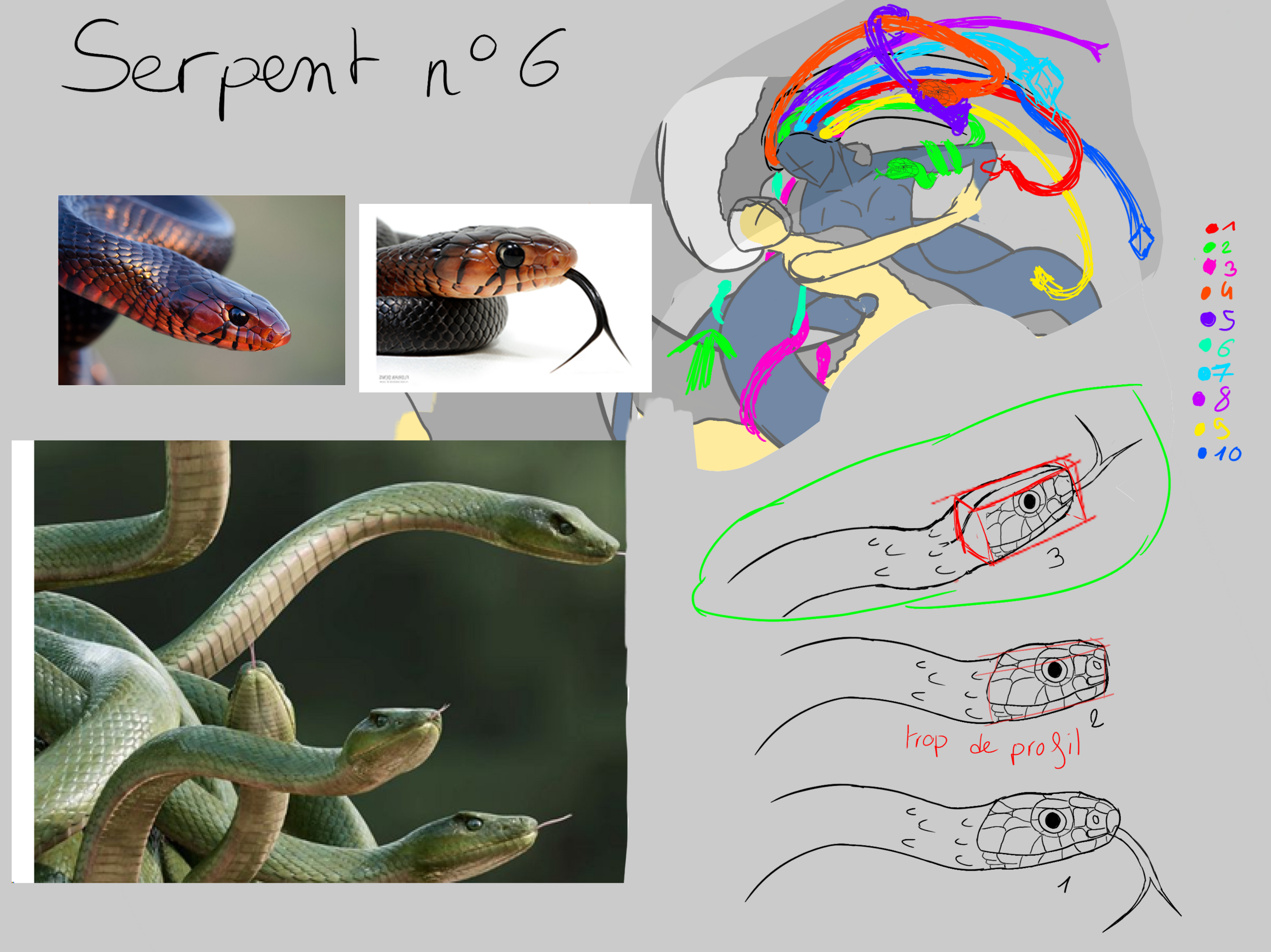serpent6.thumb.png.0abafa765d26d6066bb87f8647729dd5.png