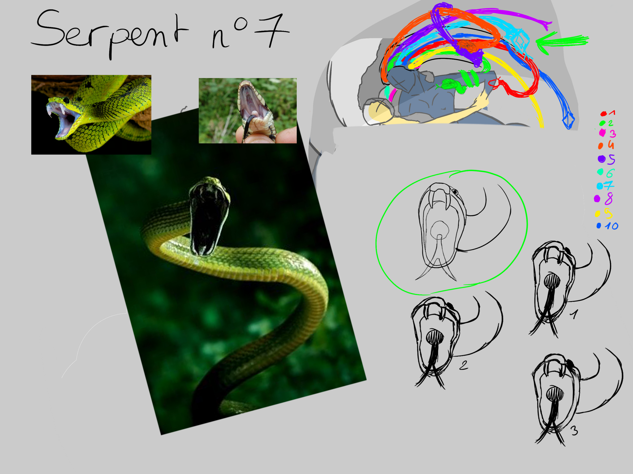 serpent7.thumb.png.34ab39aca00691c0ca55b6e52130705e.png