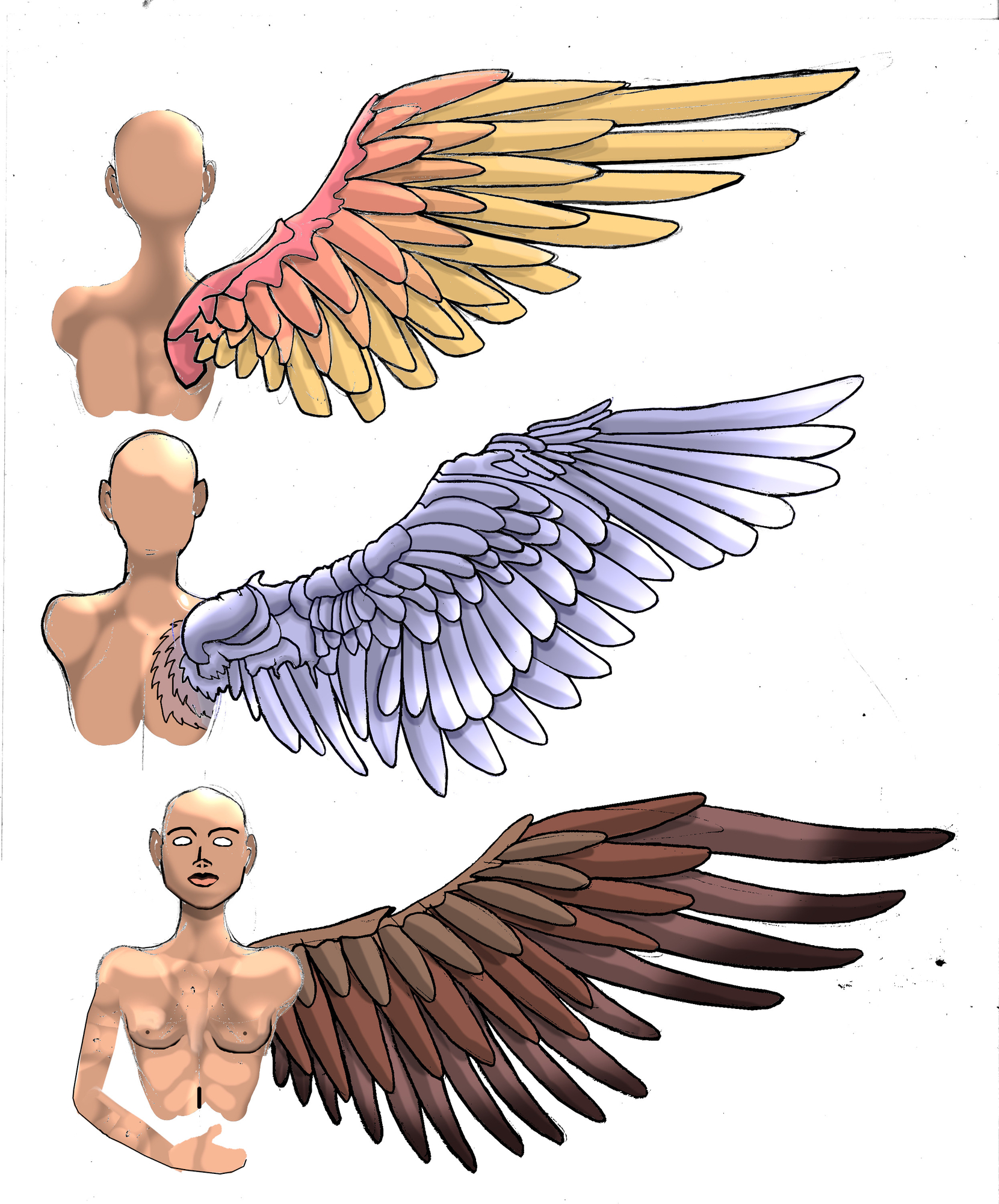 Ailes Sirènes color test.jpg