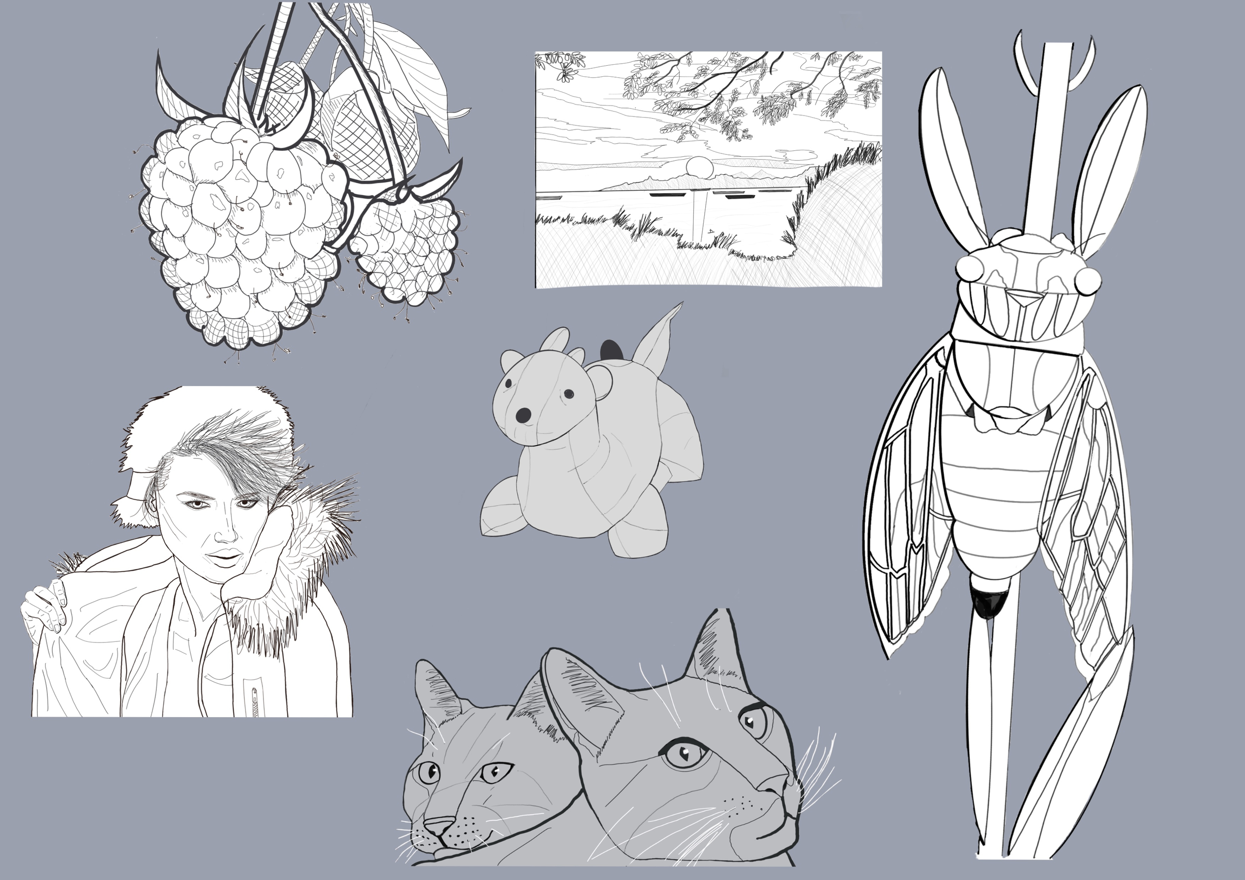 Chap_1.2 exo5 croquis.jpg