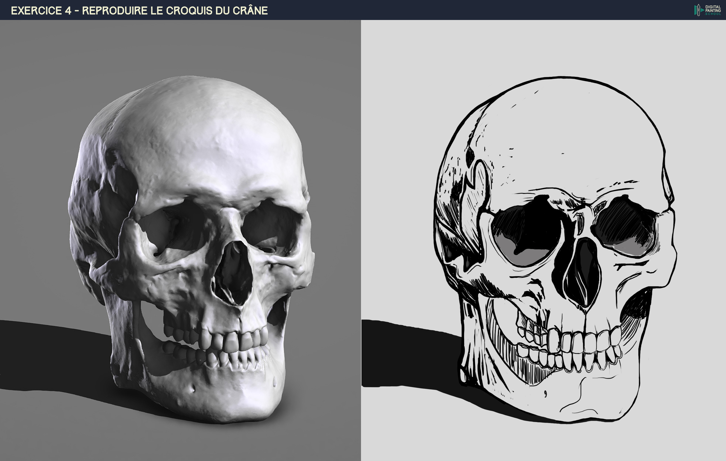 DPS-Prog-1-2-2-démo-crane-croquis DAXLOU.jpg