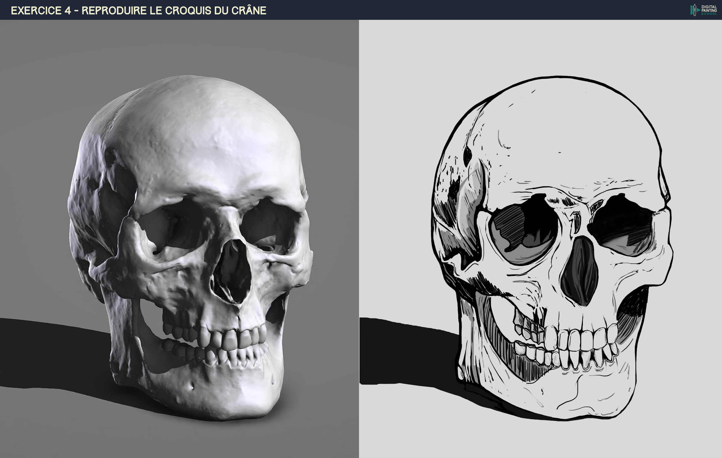DPS-Prog-1-2-2-démo-crane-croquis DAXLOU.jpg