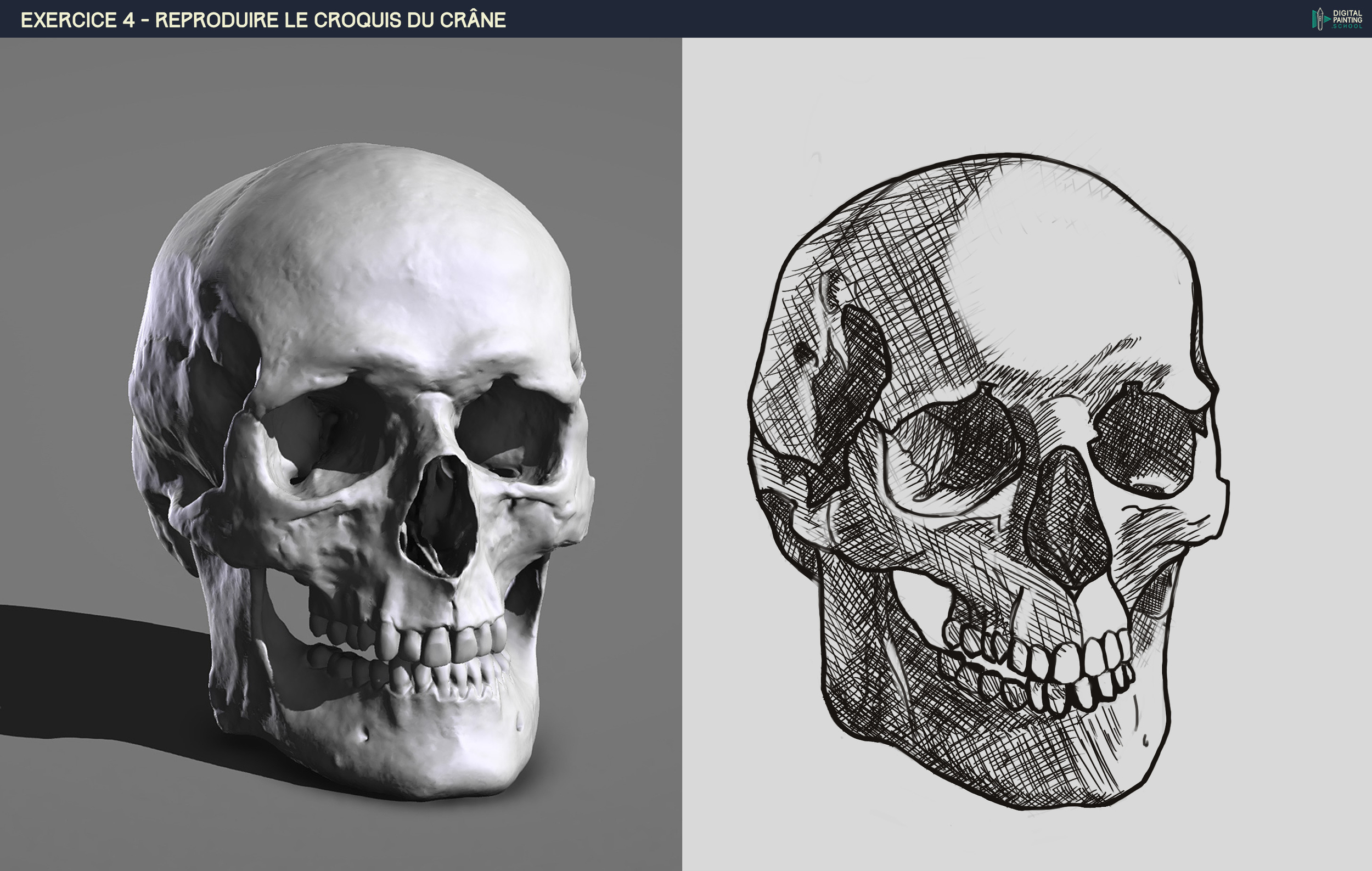 DPS-Prog-1-2-2-démo-crane-croquis copie.jpg