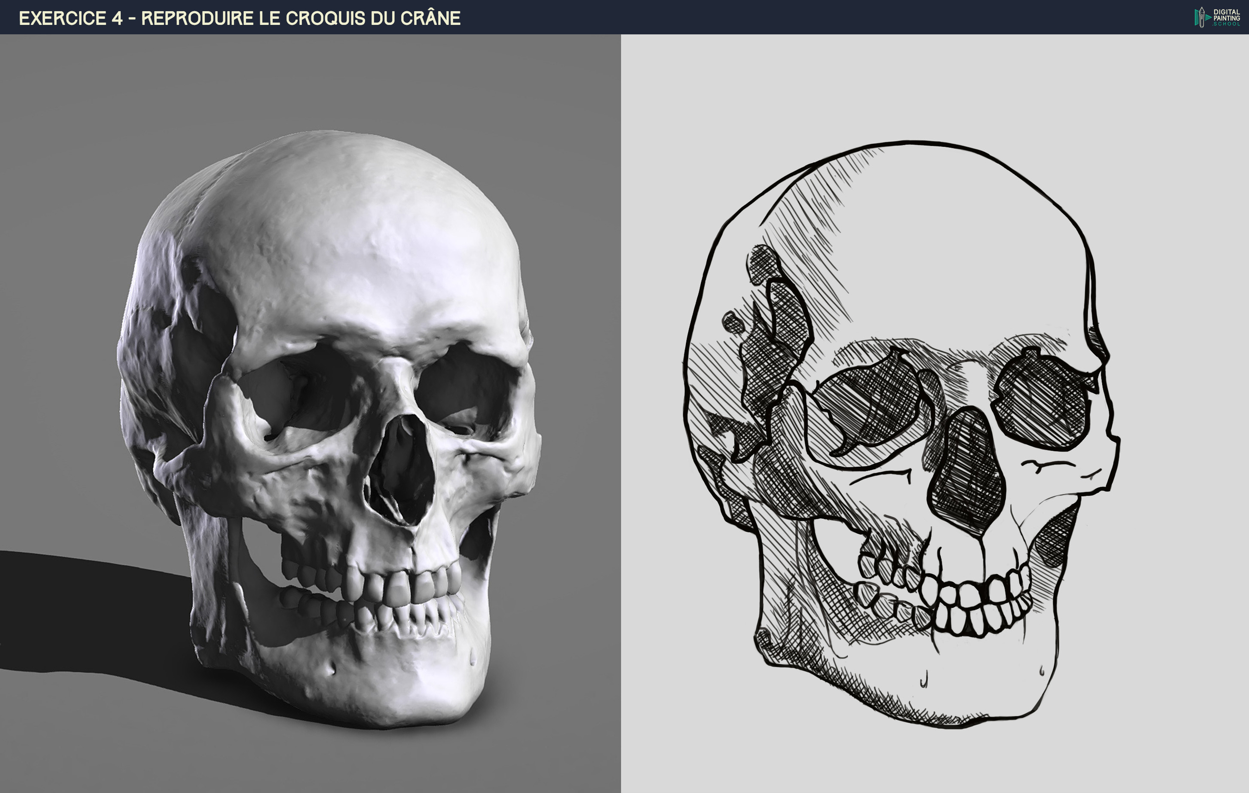 DPS-Prog-1-2-2-démo-crane-croquis copie corrigée.jpg