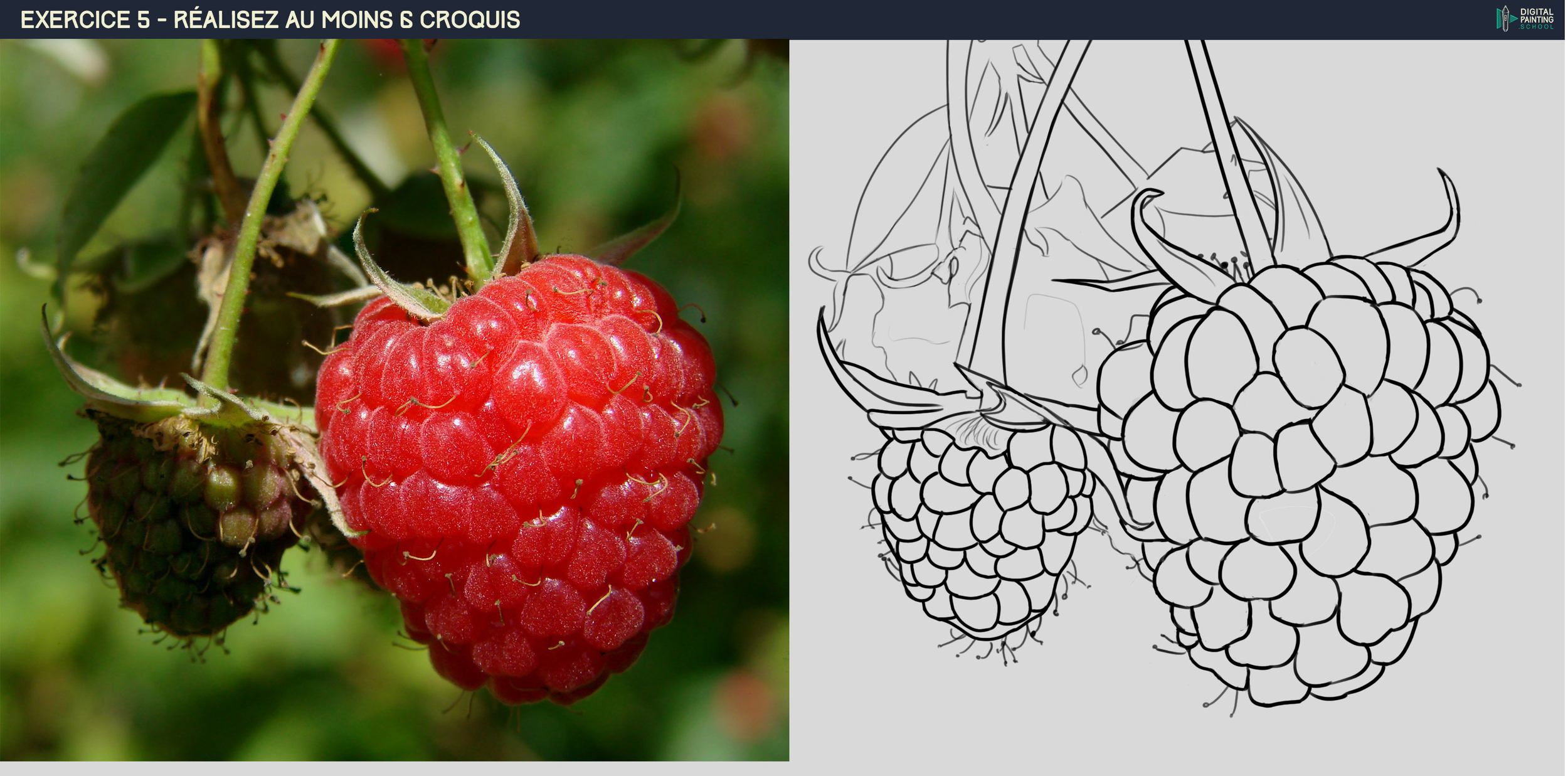 DPS-Prog-1-2-exercice5_fruits.jpg