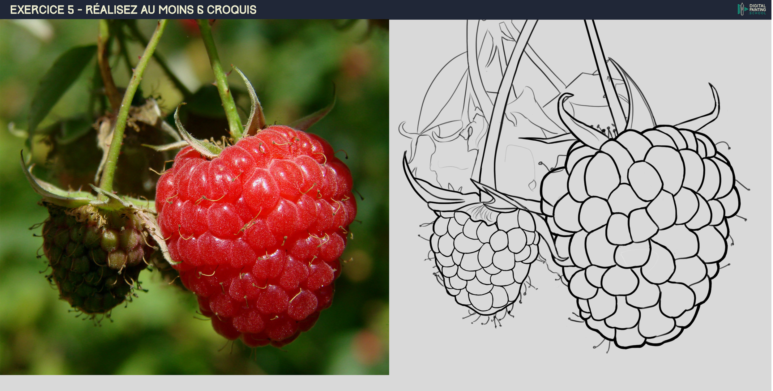 DPS-Prog-1-2-exercice5_fruits2.thumb.jpg.6c30fd8d36e42f99edef4fee65c3de3f.jpg
