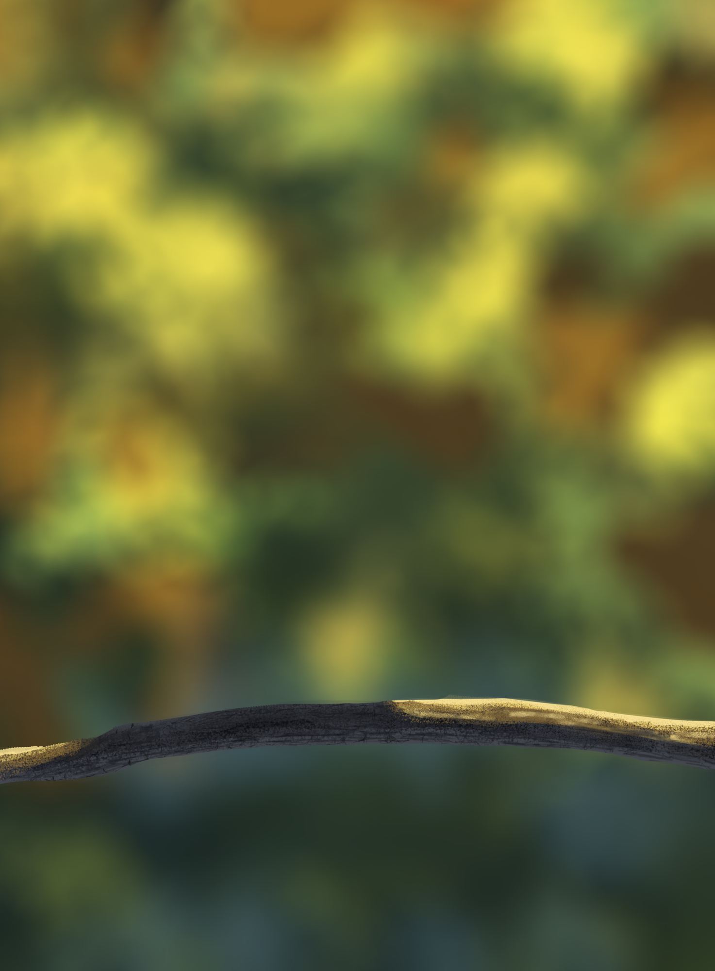 DPS Prog-1-1-Exercice5-Oiseau-Commencement copie.jpg