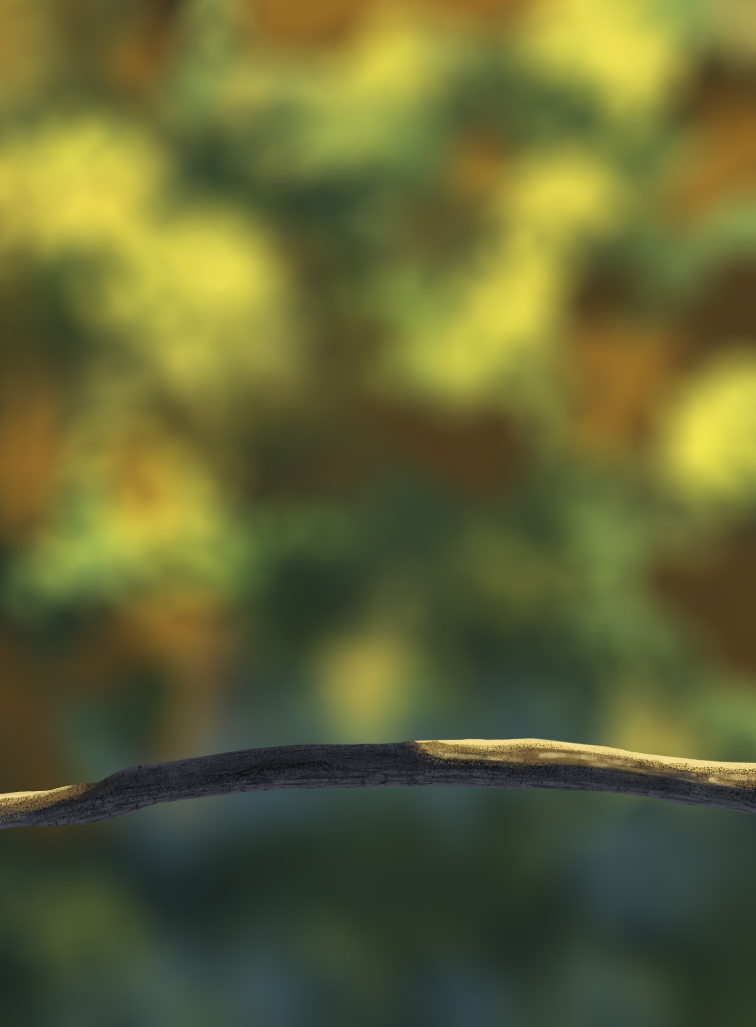 DPS Prog-1-1-Exercice5-Oiseau-Commencement copie corrigée.jpg