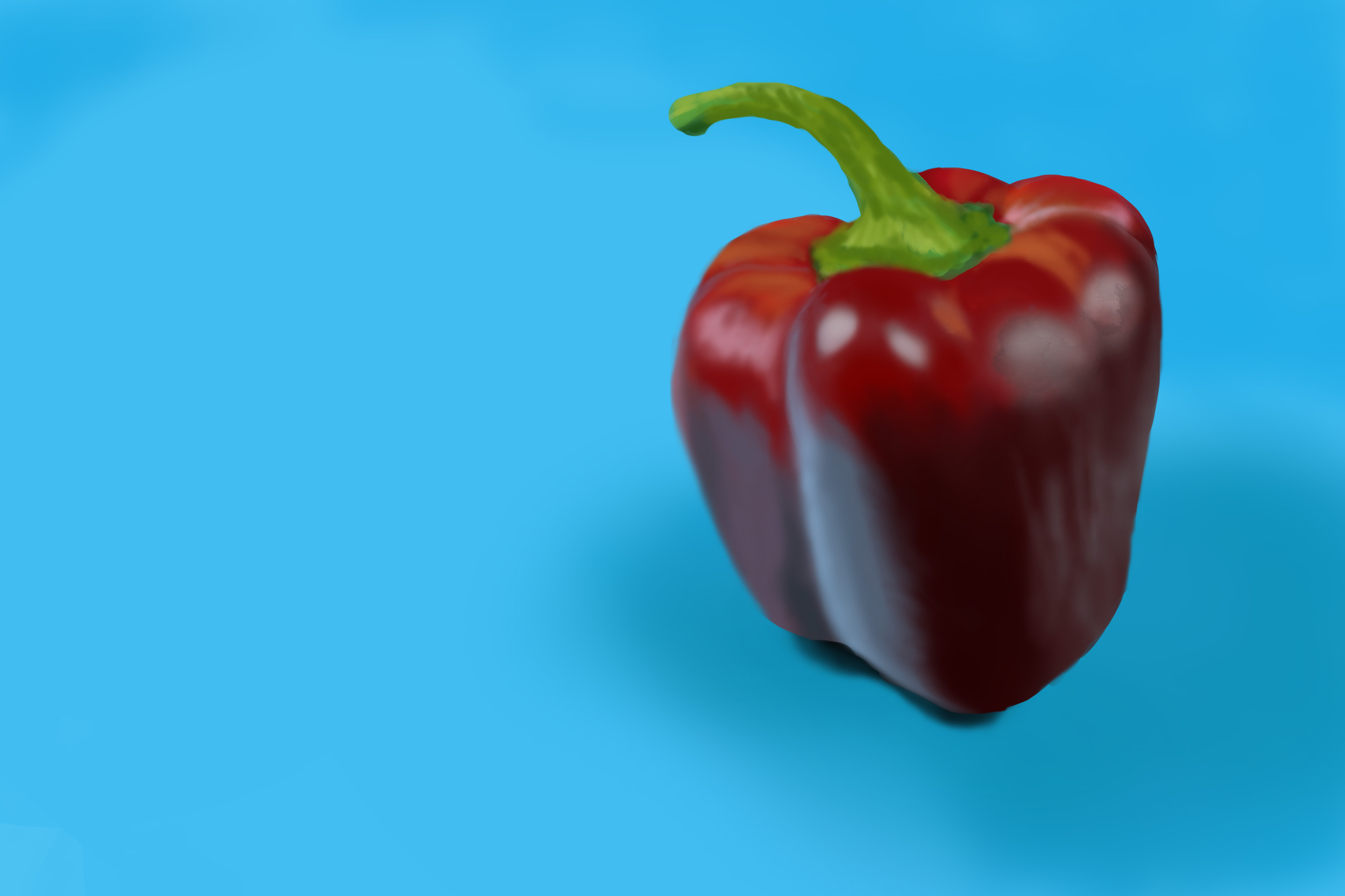 Exercice4-etude-photo1 copie.jpg