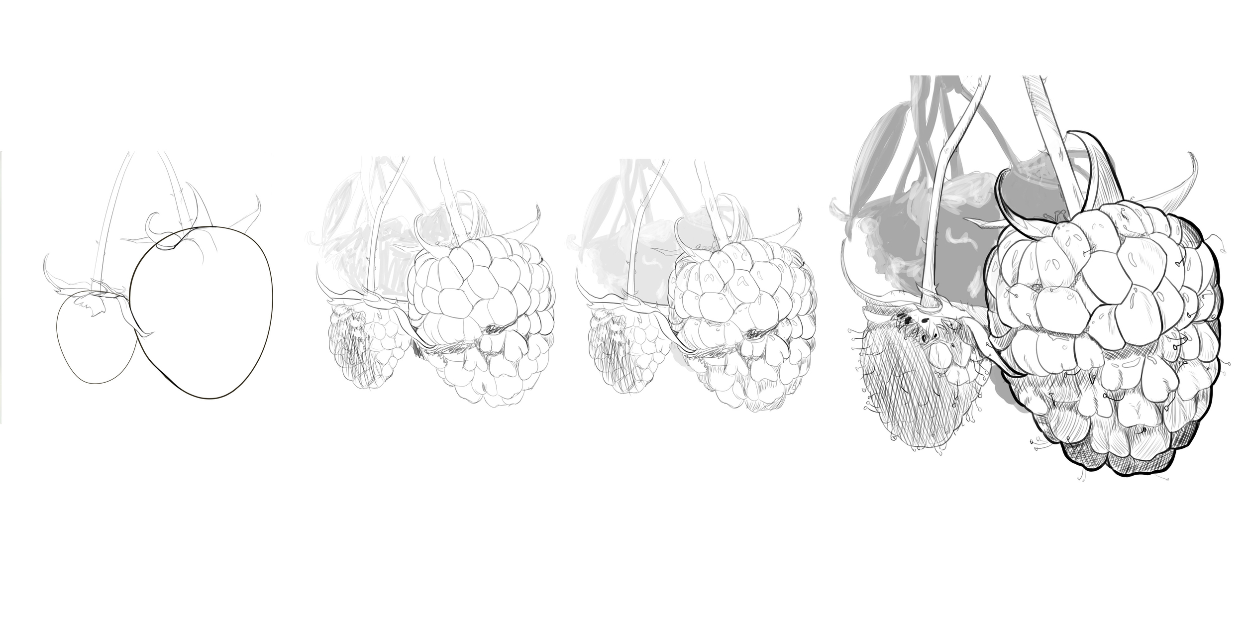 Exercice 5 Framboise.jpg