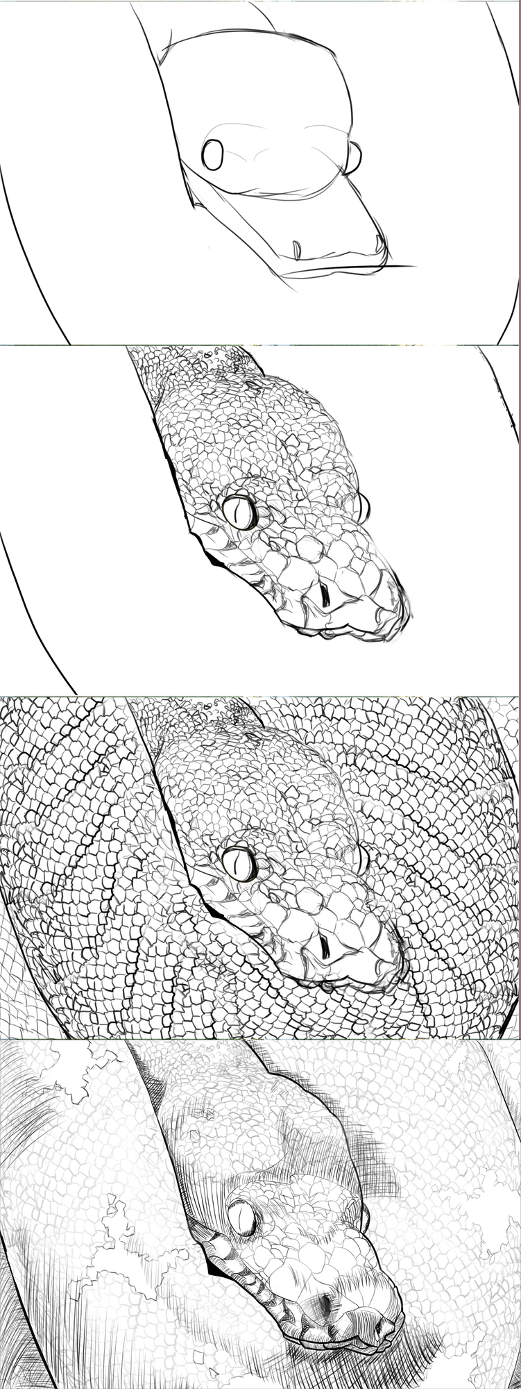 Exercice 5 Serpent.jpg