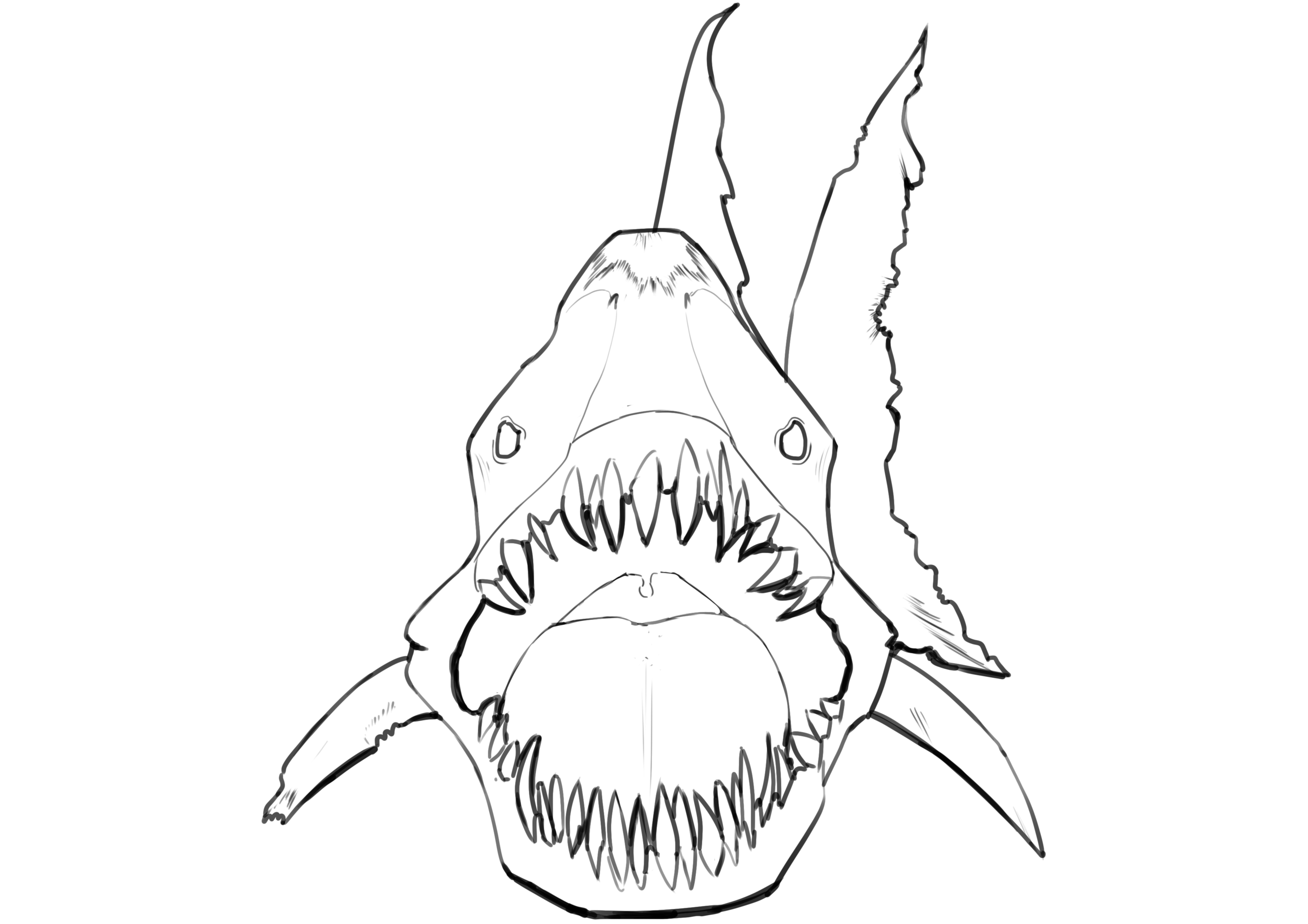 illustrationdpspartie1chapitre2requin.thumb.png.84fe61d7dc647583b3aa3e95deb79ad0.png