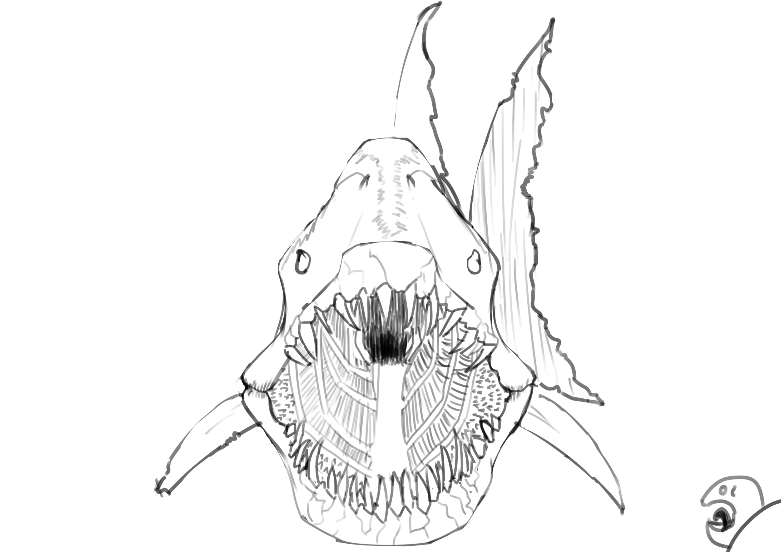 illustrationdpspartie1chapitre2requin.thumb.png.cc08d1b65acfcc48fd377a29d932a890.png