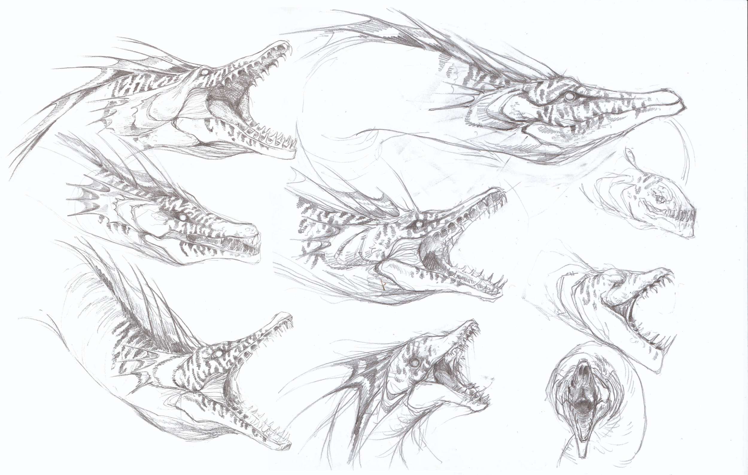 planche de recherches02.jpg