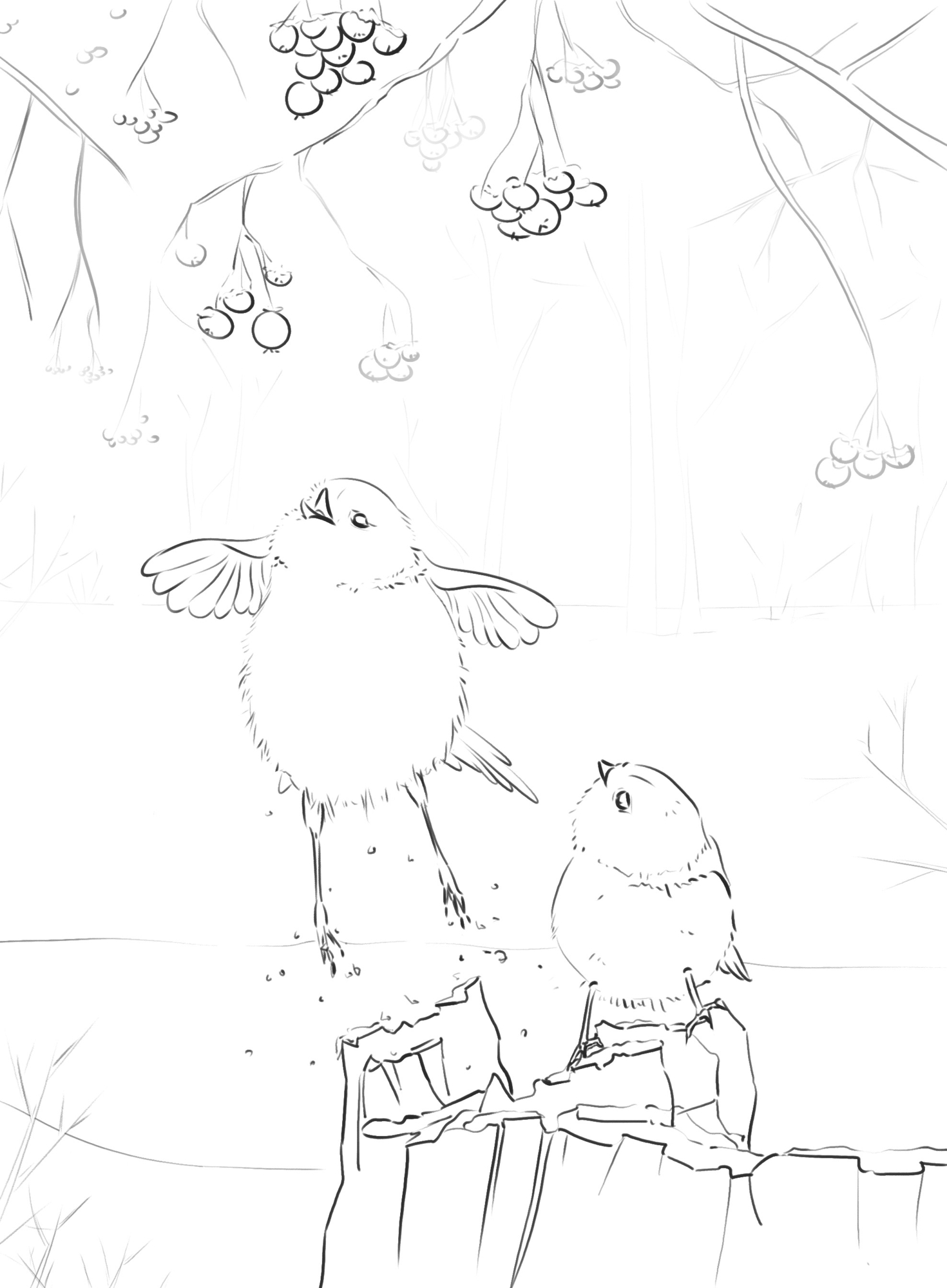 241113DPS Prog-1-1-Exercice5-Oiseaux_odile_croquis_nb.jpg