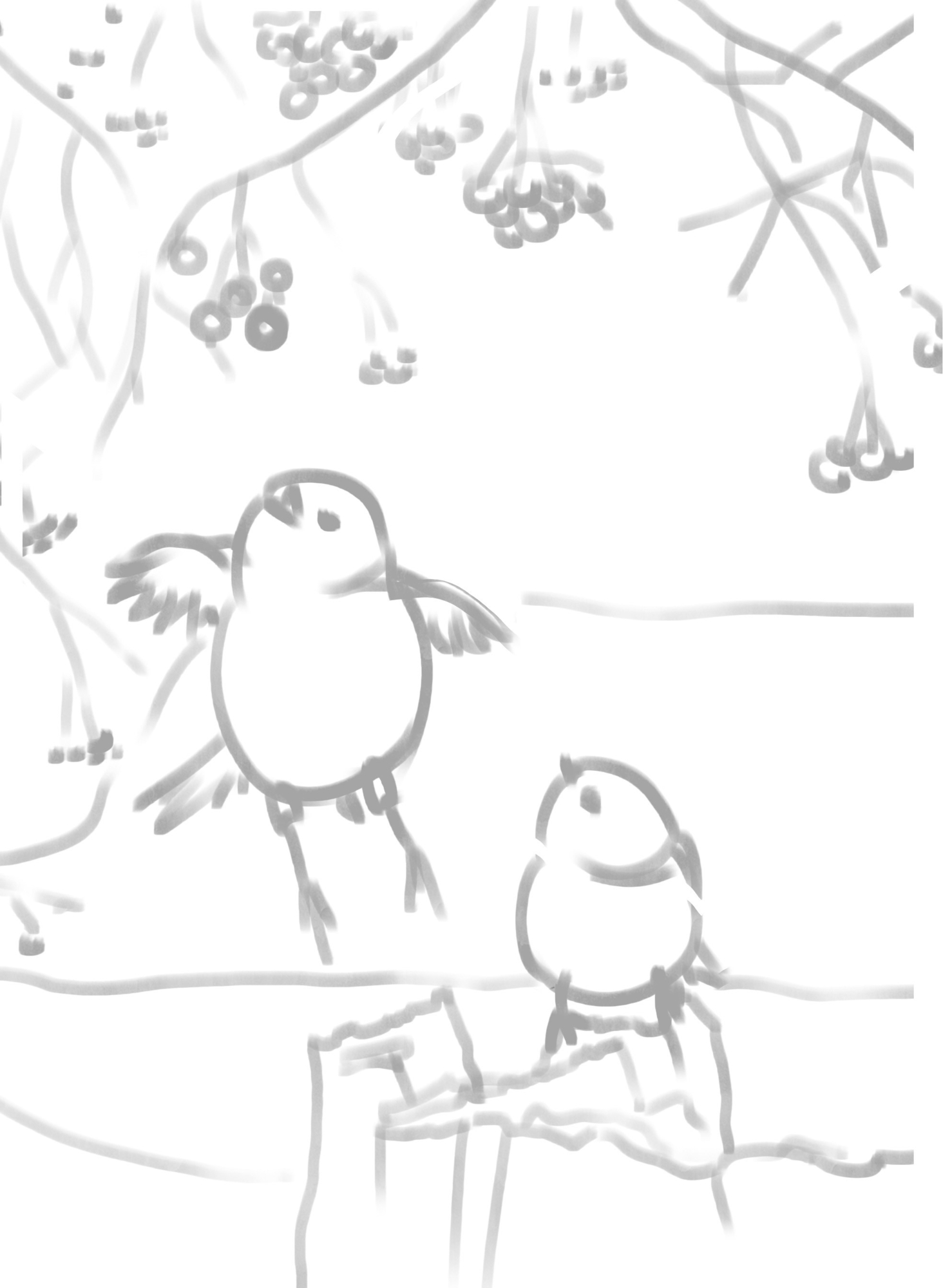 241118DPS Prog-1-1-Exercice5-Oiseaux_odile_croquis2.jpg