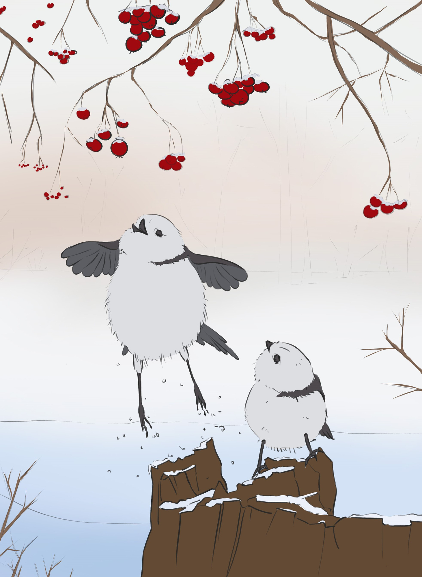 241118DPS Prog-1-1-Exercice5-Oiseaux_odile_croquis_couleur.jpg