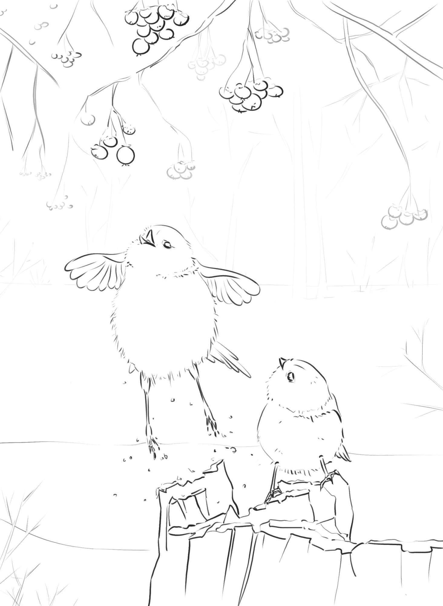 241118DPS Prog-1-1-Exercice5-Oiseaux_odile_croquis_nb.jpg