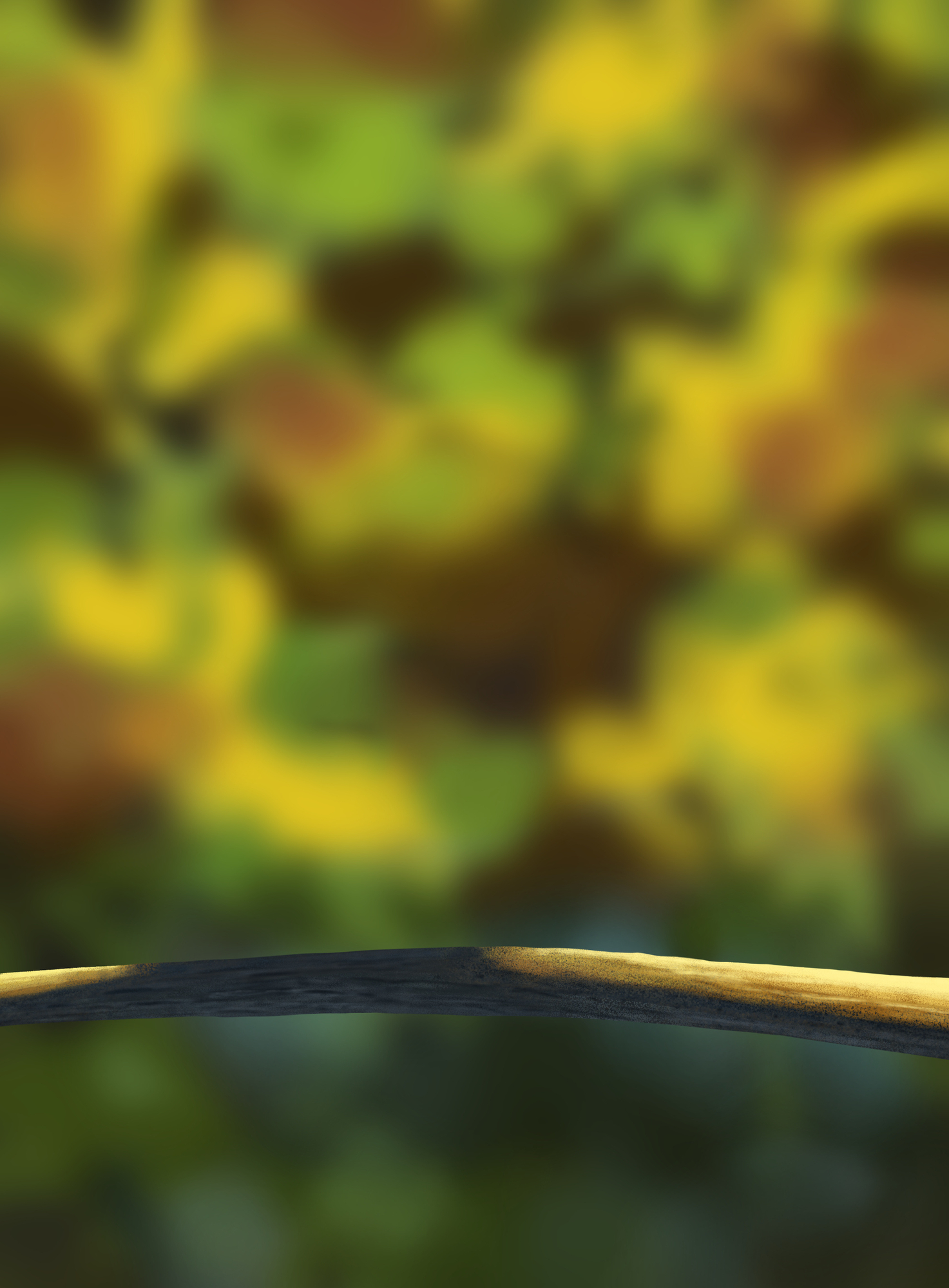 Athryiaa_DPS Prog-1-1-Exercice5-Oiseau-Commencement.jpg