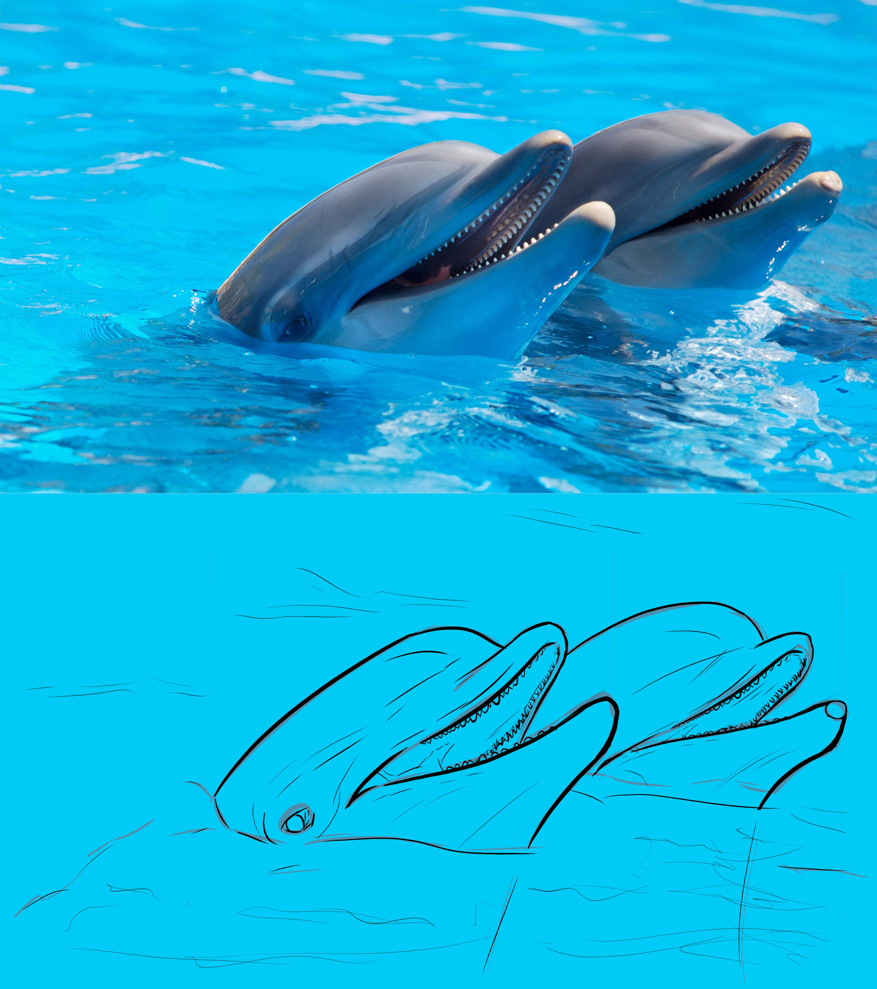 Croquisdauphins.thumb.jpg.5f9654ed057340d69fe0758fdd5a4ef9.jpg