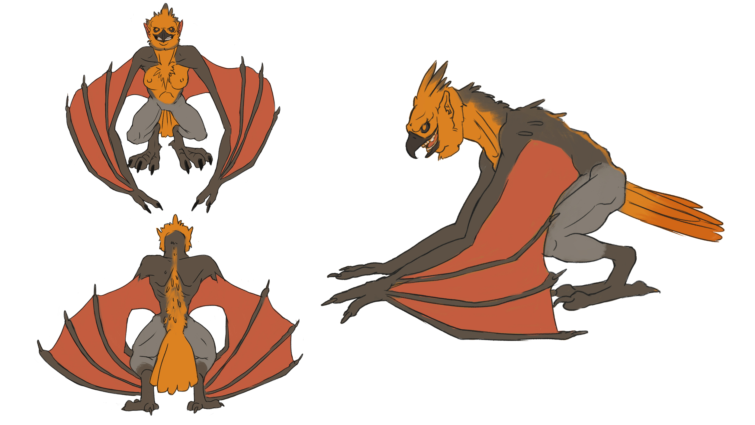 Harpie concept final.jpg