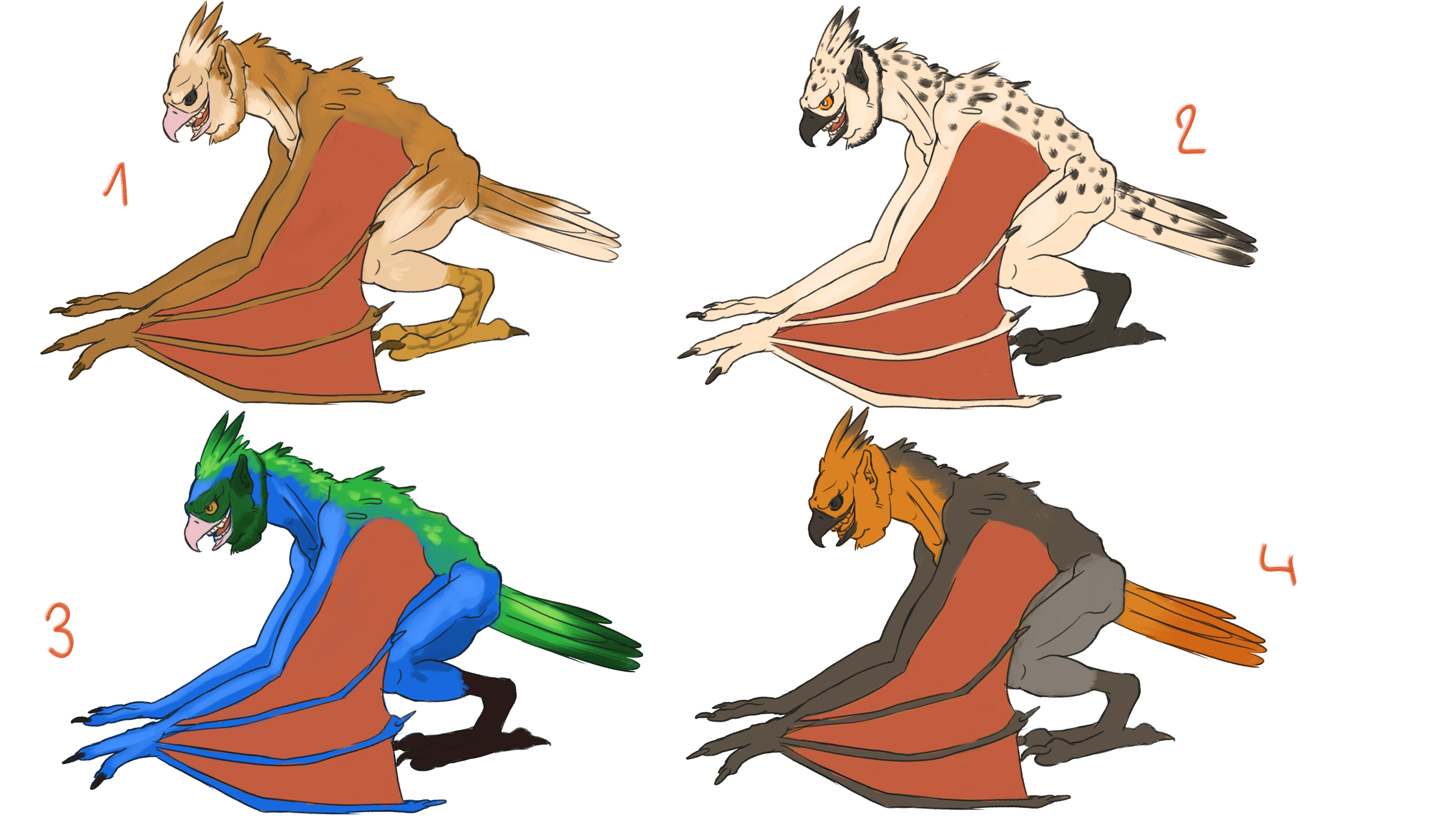 Harpie ité colo.jpg