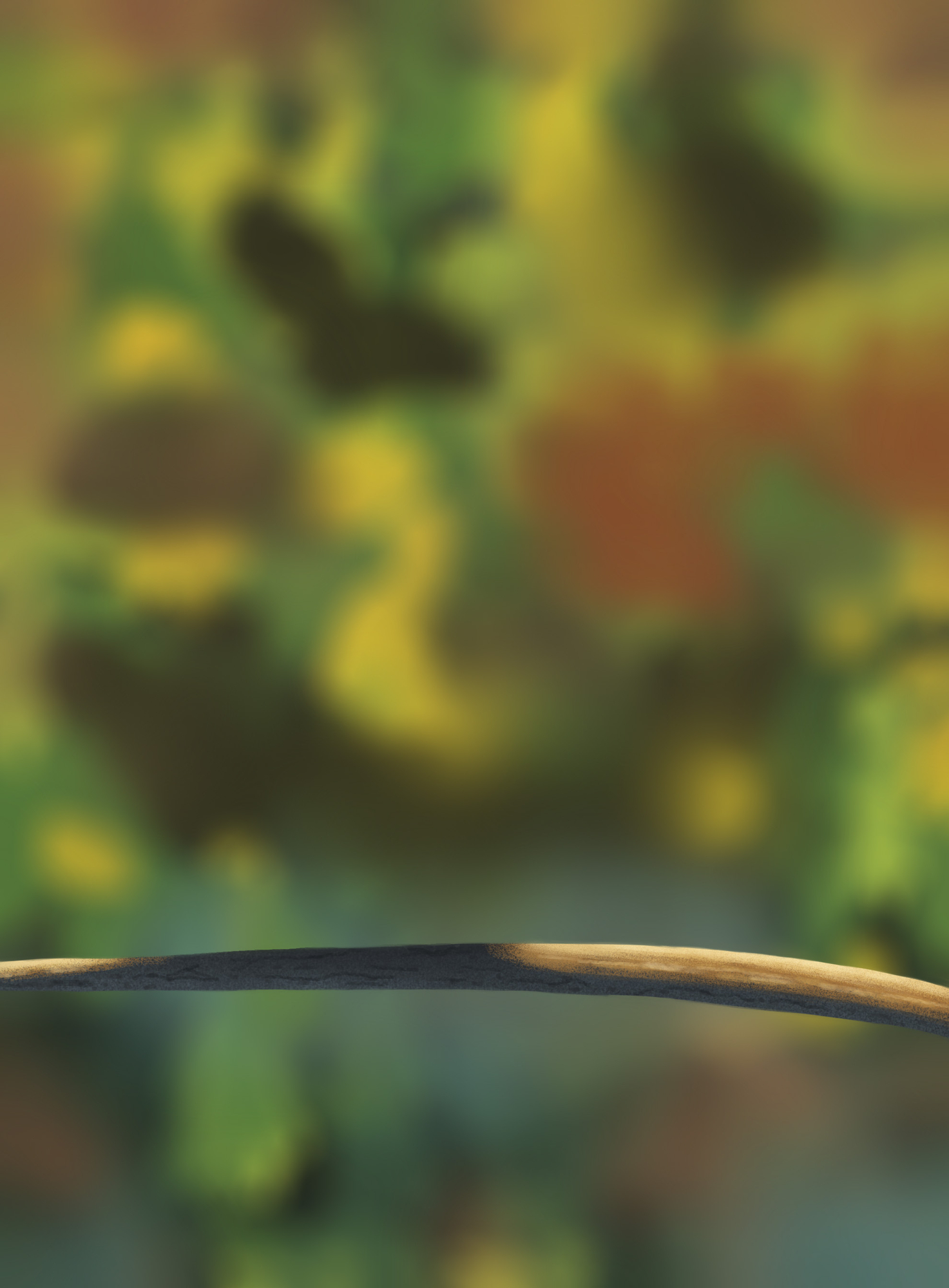 MES OISILLONS partie 1.jpg