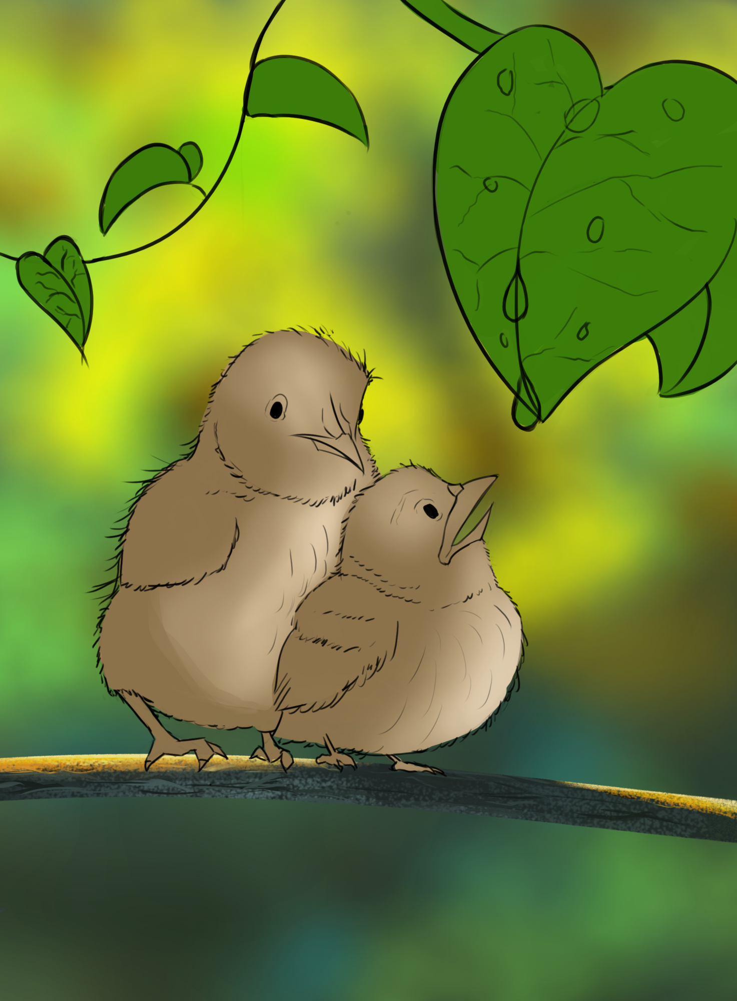 oisillin croquis.png