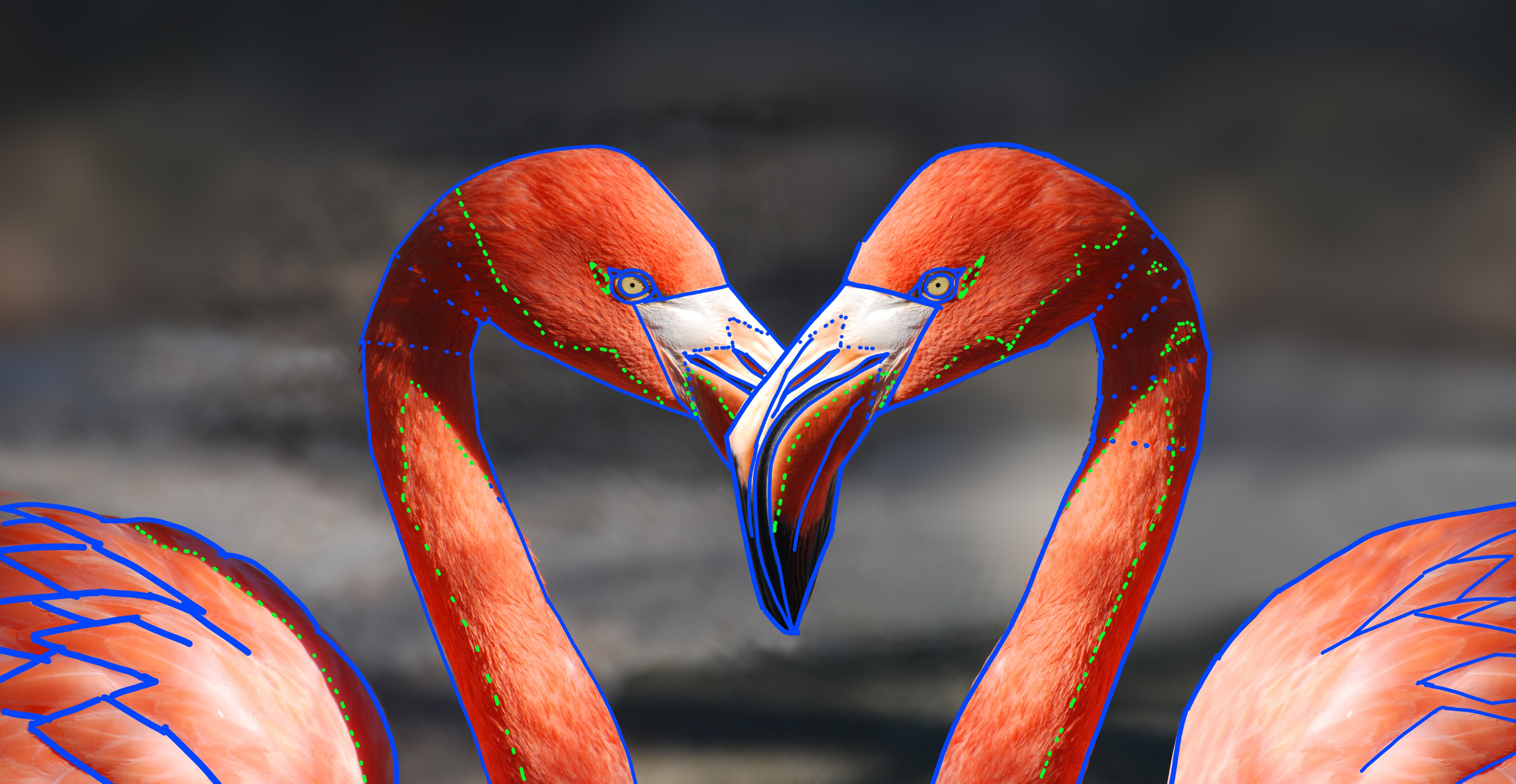 02 - Flamants coeur_001.jpg