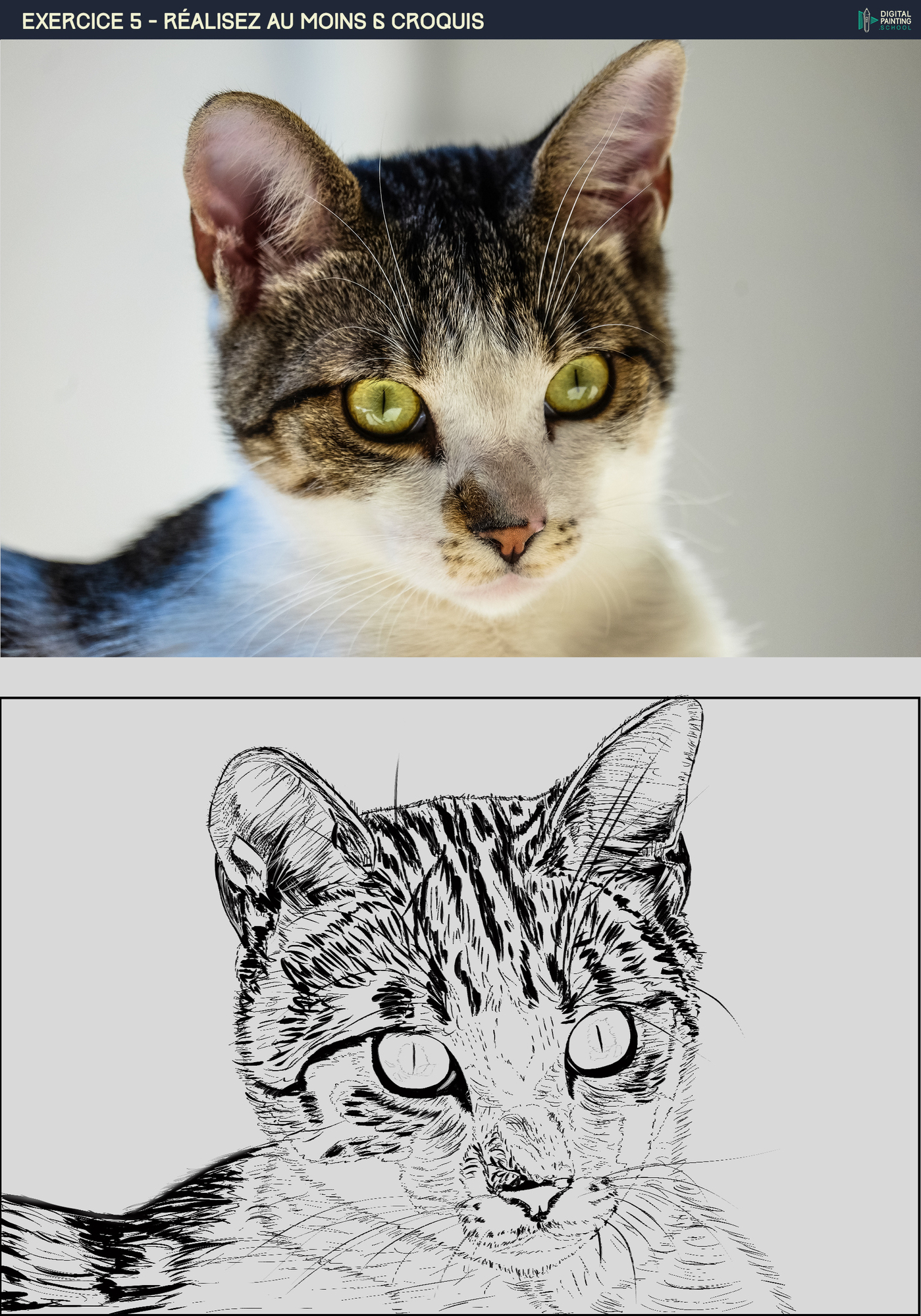 Athryiaa_DPS-Prog-1-2-exercice5 (chat).jpg