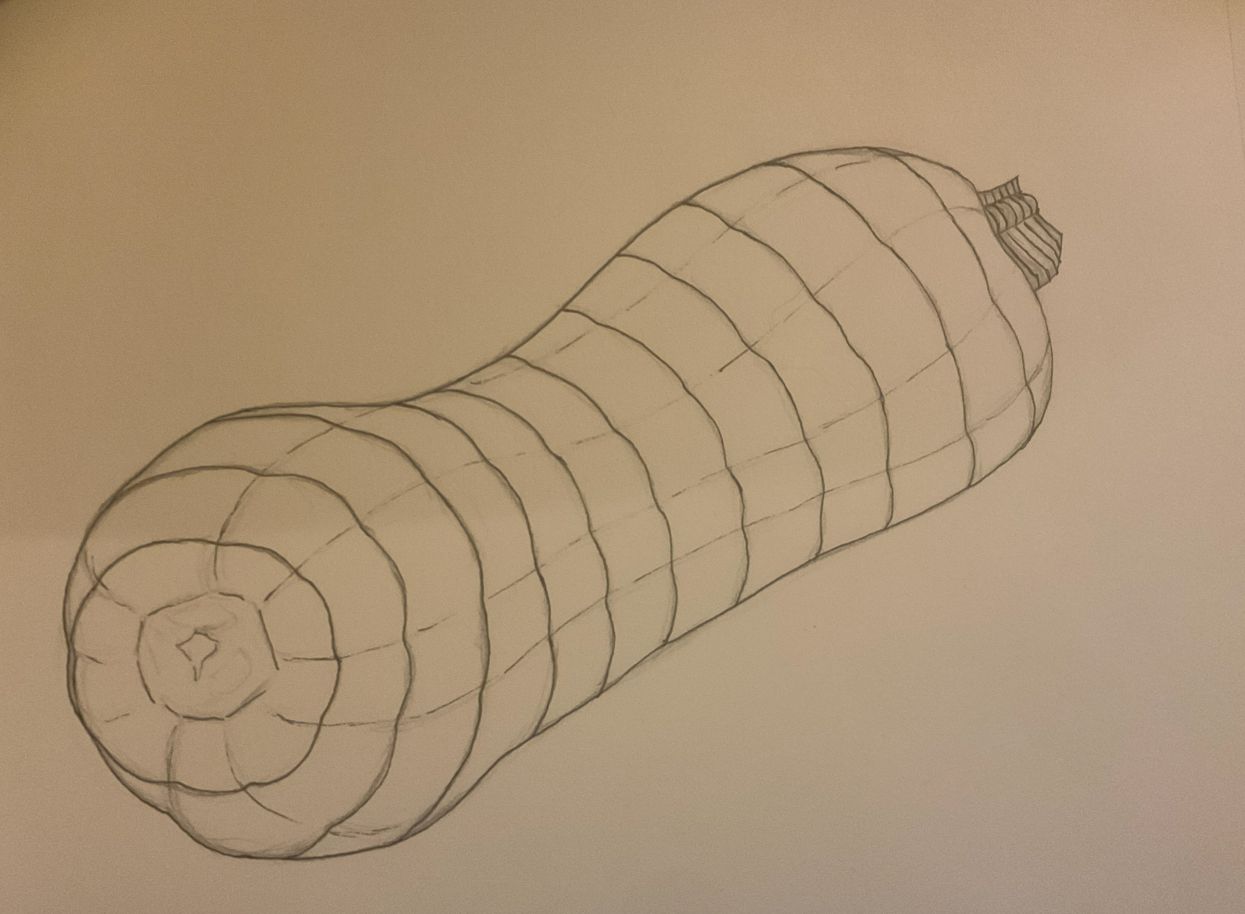 Courge fil de fer.jpg