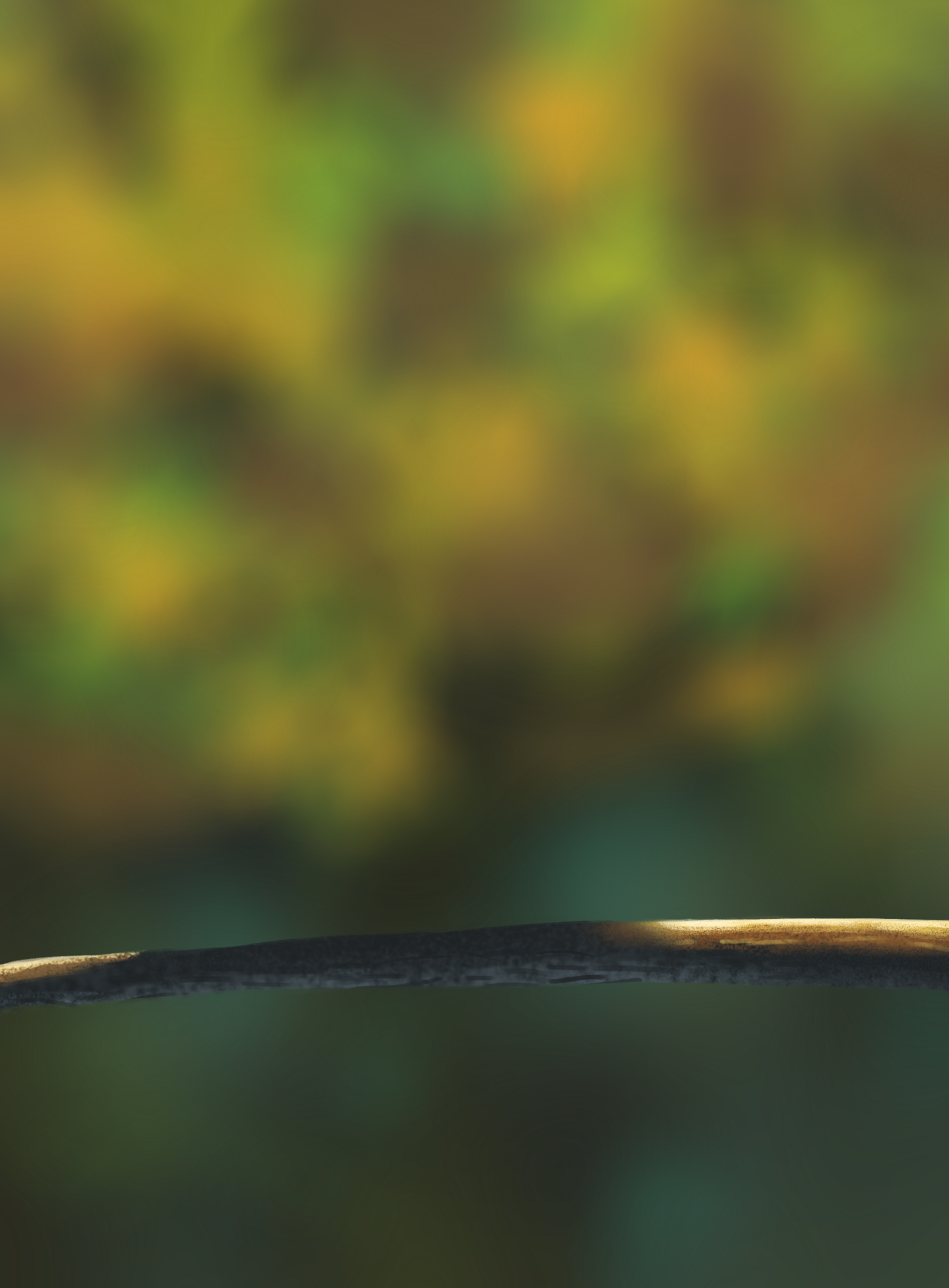 DPS Prog-1-1-Exercice5-Oiseau-Commencement.png