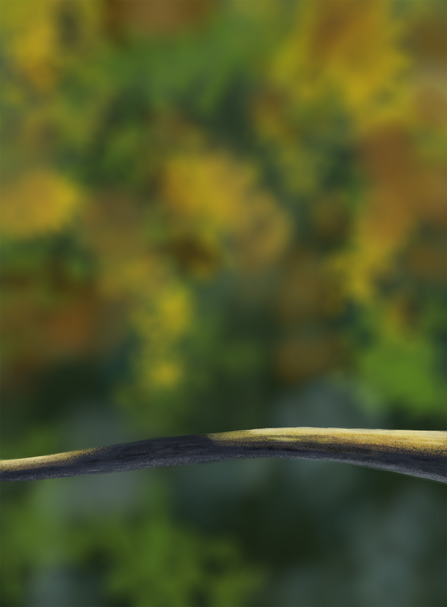 Ex5-branche oisillons.jpg