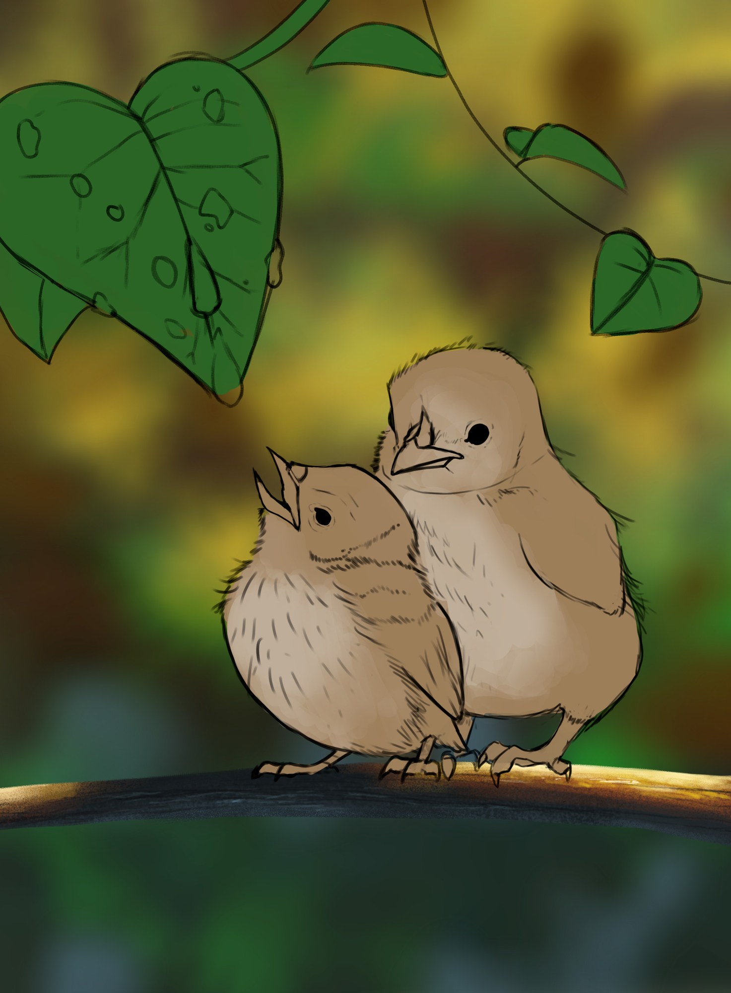 croquis oisillons nyria.jpg